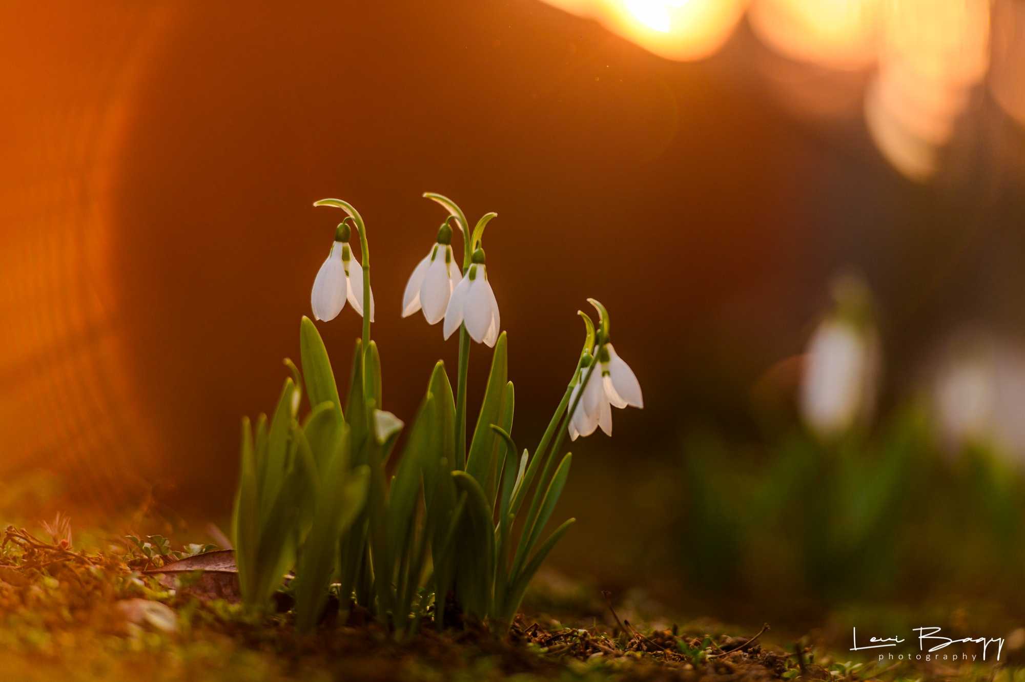 Március közepéig az évszakhoz képest magasabb hőmérsékleteket ígérnek a meteorológusok. | Fotó: Bagy Levi