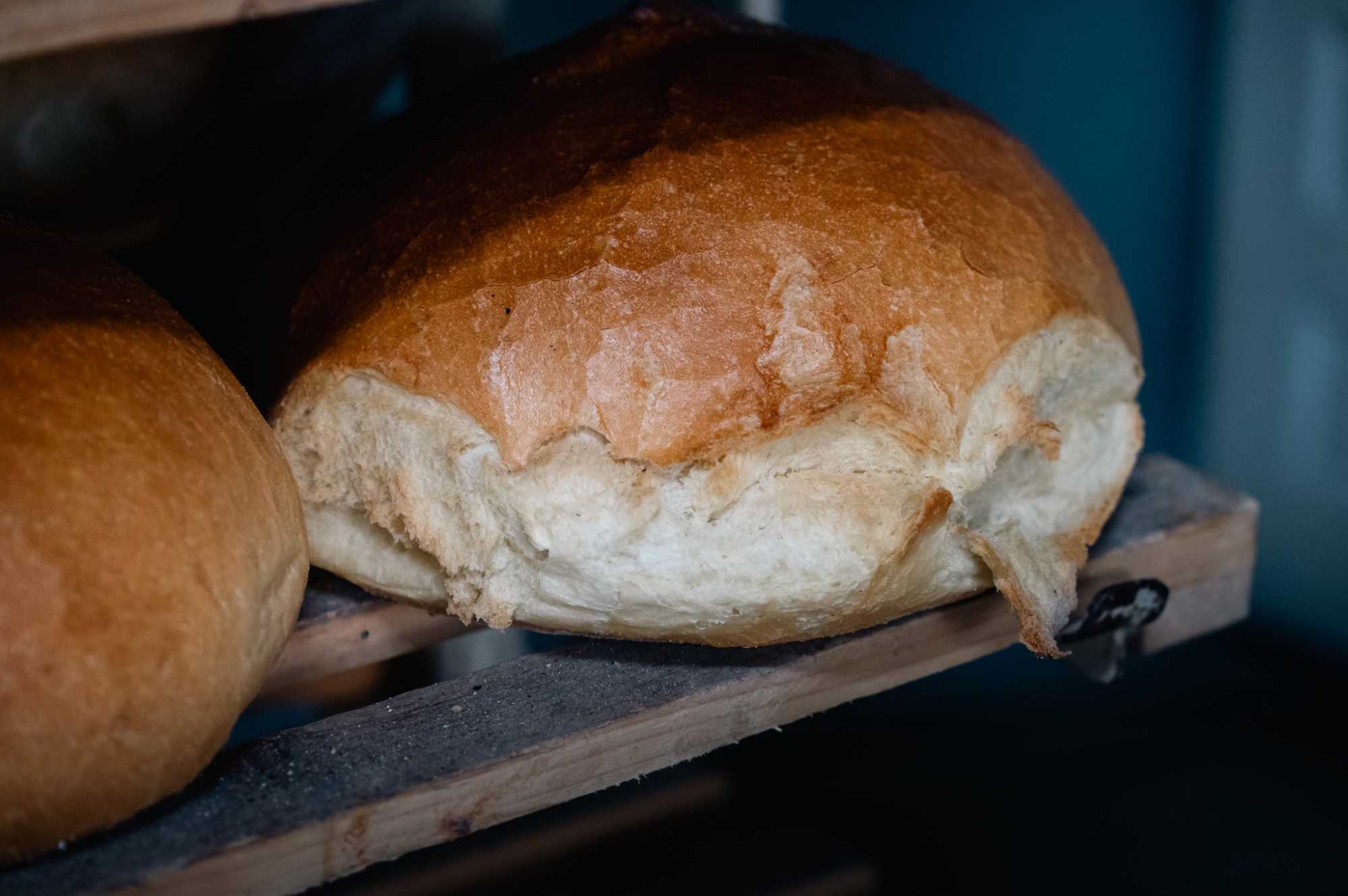 Több száz gyermek napi kenyerét biztosítják. | Fotó: Pro Agricultura Egyesület