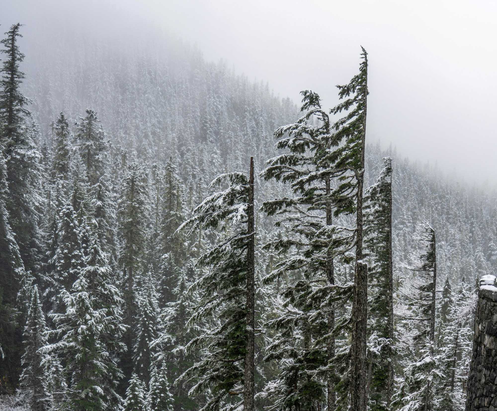 A szélsőséges időjárás megrongálta a hálózatot | Illusztráció: Unsplash