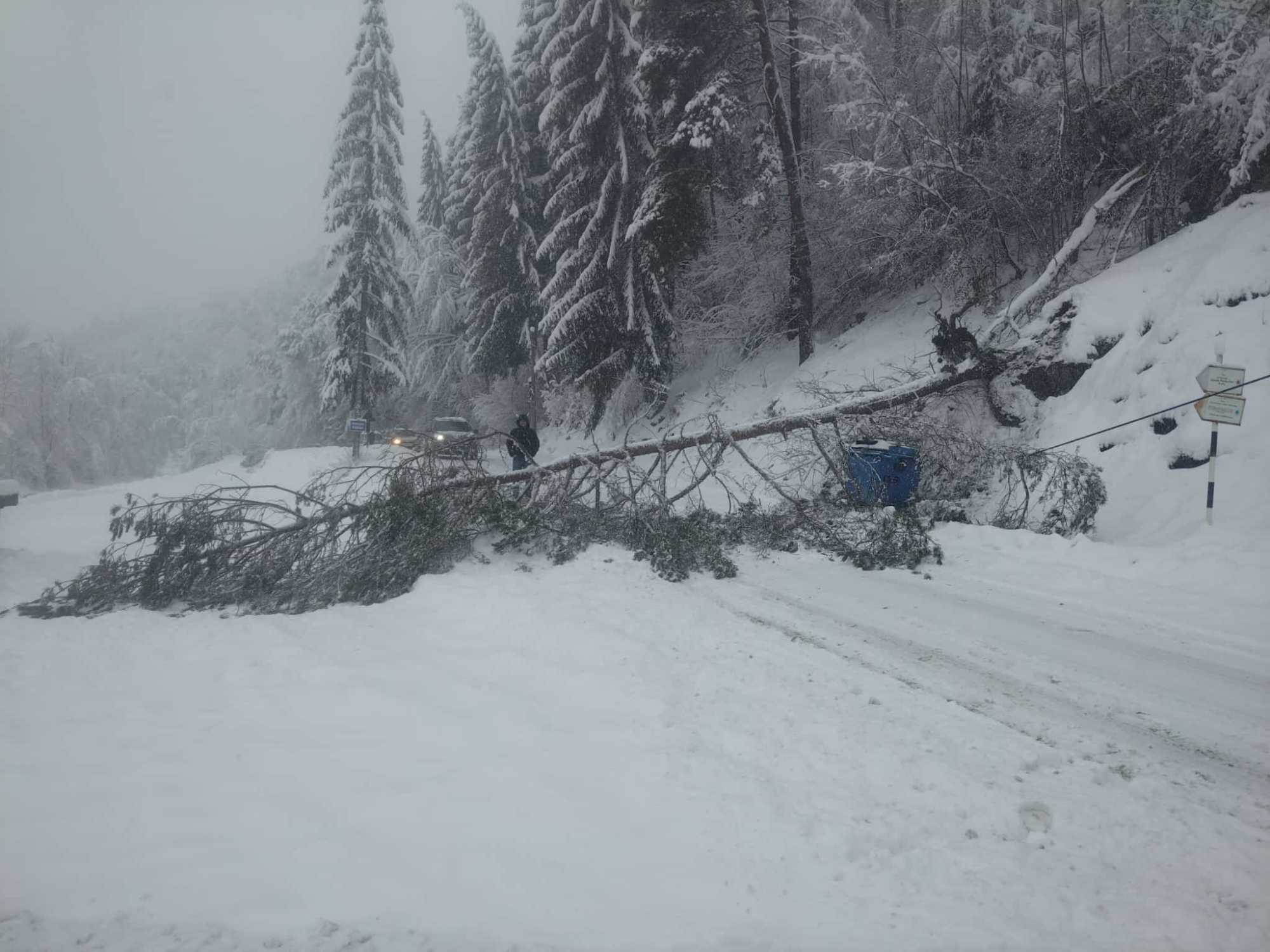 Fehér megyében is 14 órakor még több mint tízezren voltak áram nélkül. 