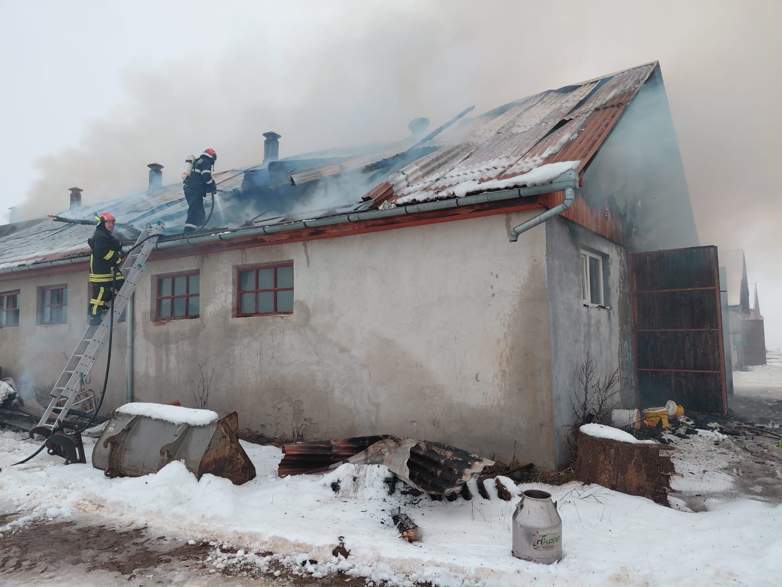 Az állatokat időben kimenekítették az épületből | Fotó: ISU Harghita