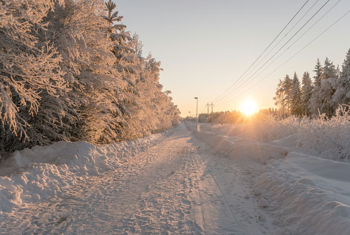 Nagyon hideg volt. | Fotó: Unsplash