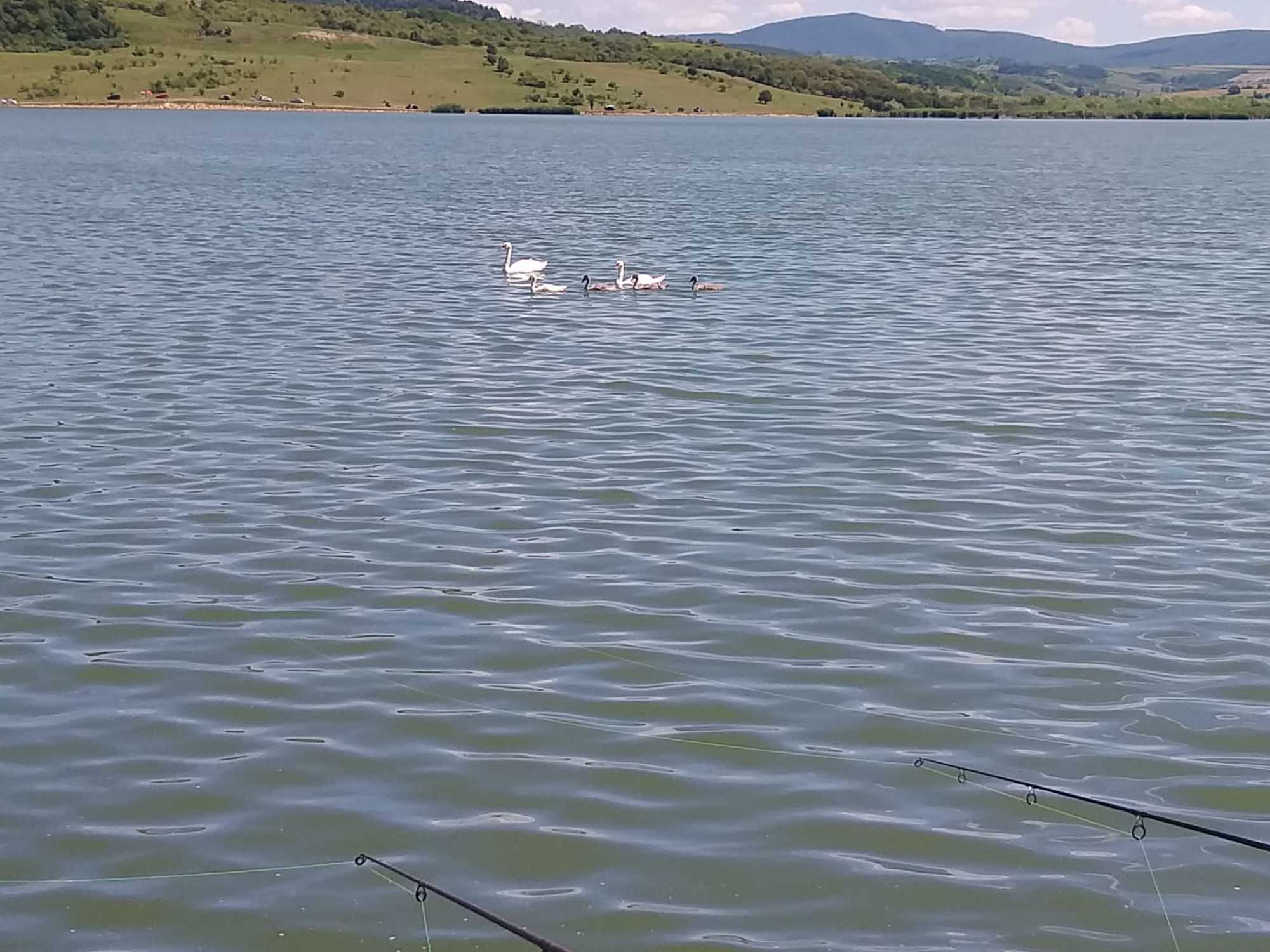A varsolci víztározó az egyik legnépszerűbb horgászó hely | Fotó: Kulcsár Mária