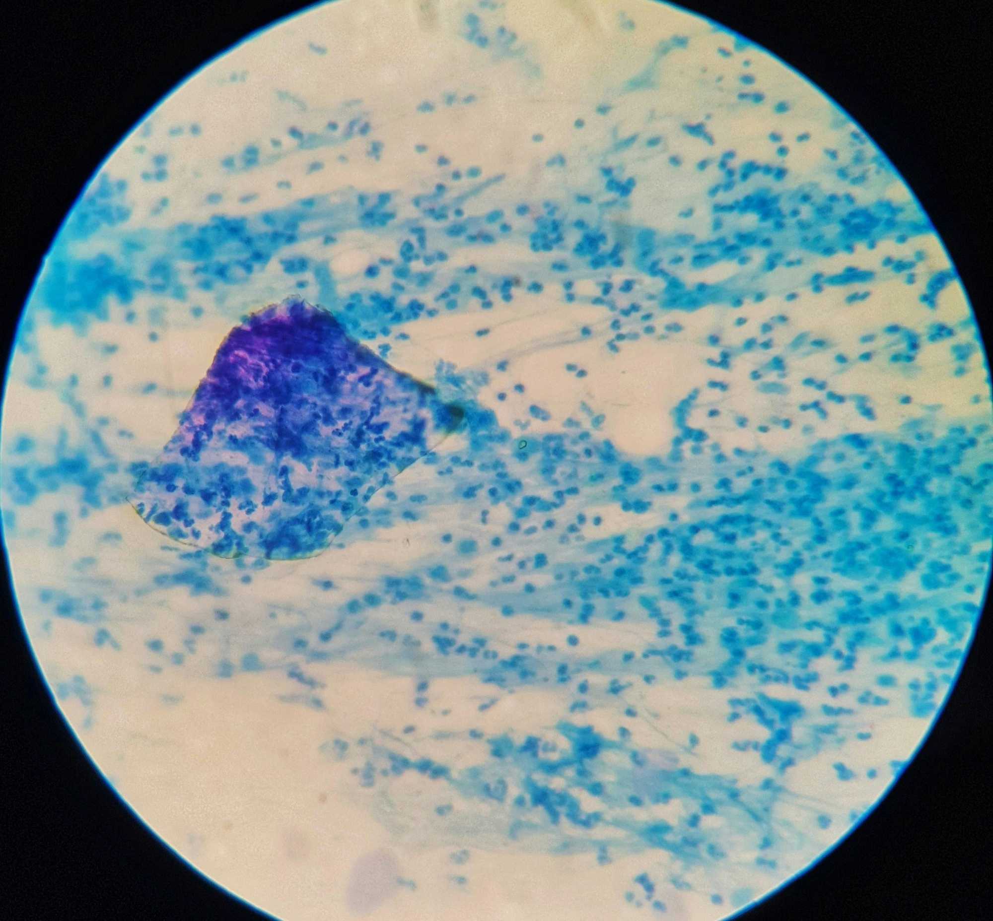 Annyi él bennünk, ahány sejtünk van, és a mikrobiális gének száma százszorosa a saját génjeinkének. | Fotó: Pexels