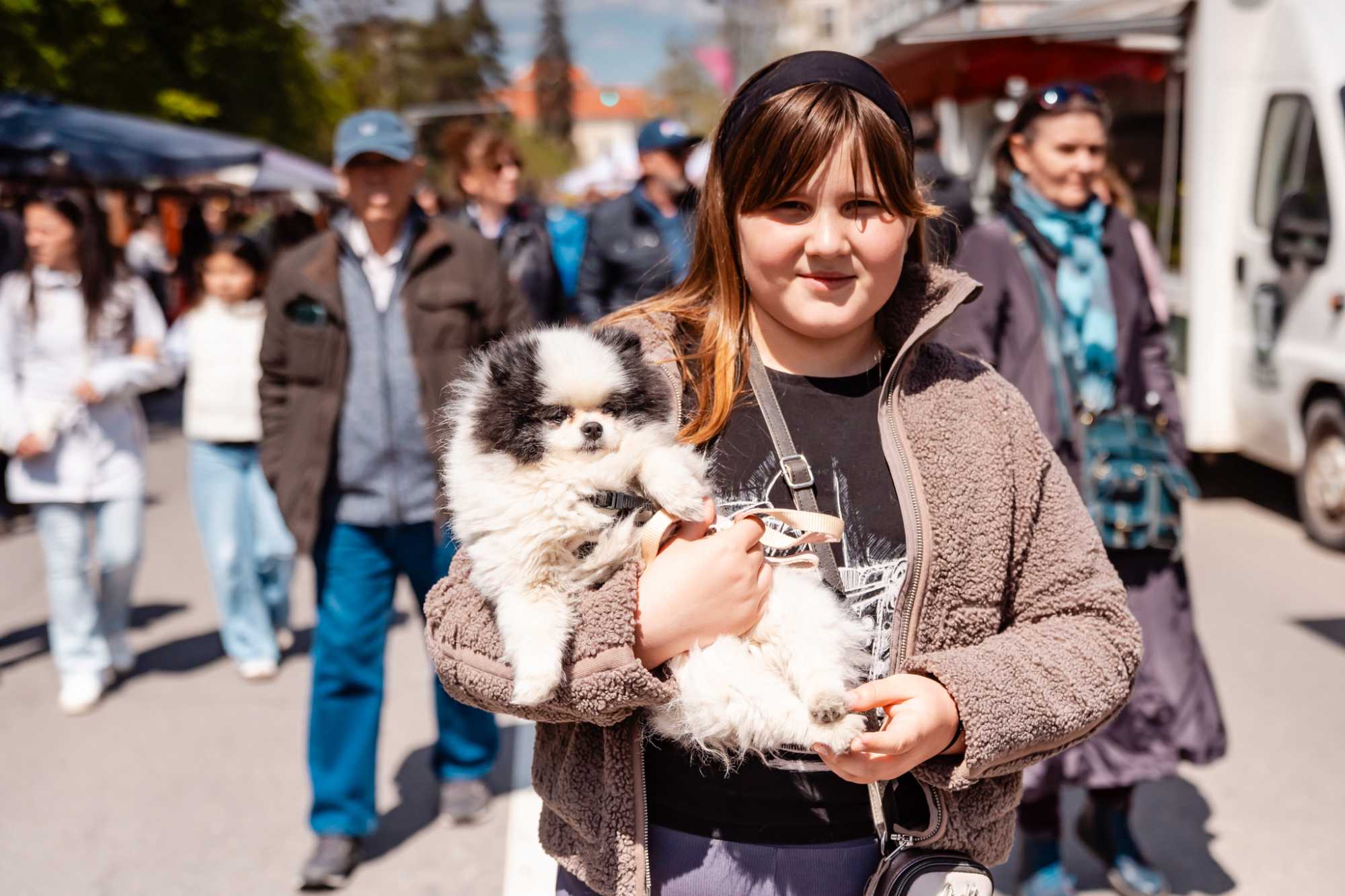 Örökbefogadható kutyák várják a kisgazdikat  