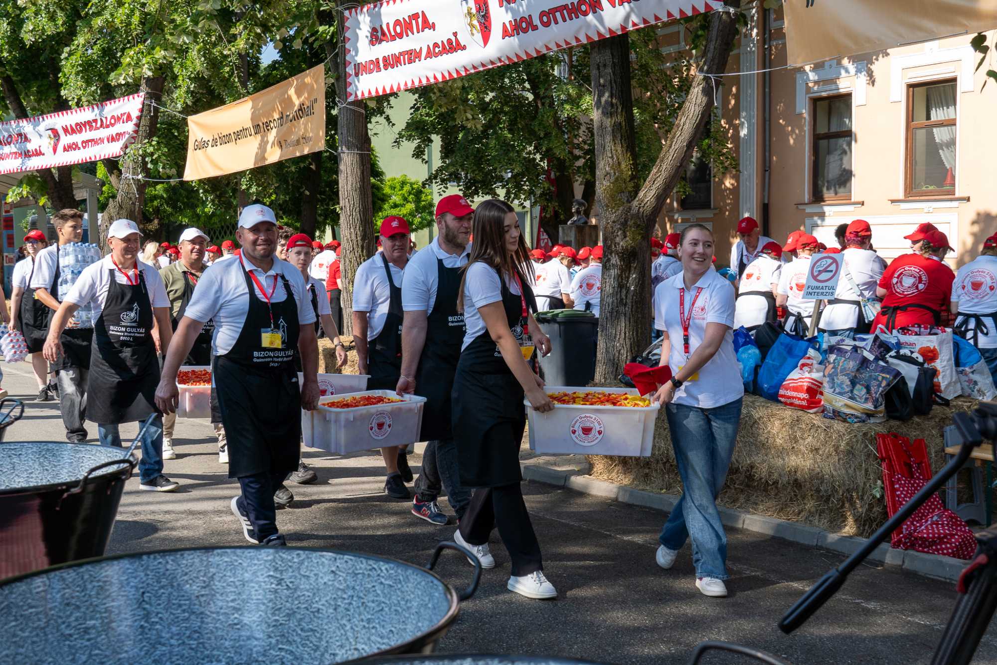 A gigantikus m&eacute;retű &uuml;stbe mintegy 1500 kilogramm krumpli, 990 kg b&ouml;l&eacute;nyh&uacute;s, 200 kb s&aacute;rgar&eacute;pa, 500 kg hagyma, t&ouml;bb t&iacute;z kilogrammnyi őr&ouml;lt paprika &eacute;s egy&eacute;b fűszer, valamint 10 kg petrezselyemz&ouml;ld ker&uuml;lt. A legt&ouml;bben azt k&eacute;rdezt&eacute;k, hogy honnan szerezt&eacute;k be a b&ouml;l&eacute;nyh&uacute;st? A hajd&uacute;v&aacute;ros mellett, az orsz&aacute;ghat&aacute;r fel&eacute; vezető orsz&aacute;g&uacute;t k&eacute;t oldal&aacute;n, t&ouml;bb kilom&eacute;ter hosszan műk&ouml;dik Eur&oacute;pa egyik, ha nem a legnagyobb b&ouml;l&eacute;nyfarmja. Az alapanyagot az &uuml;zemeltetők biztos&iacute;tott&aacute;k.
