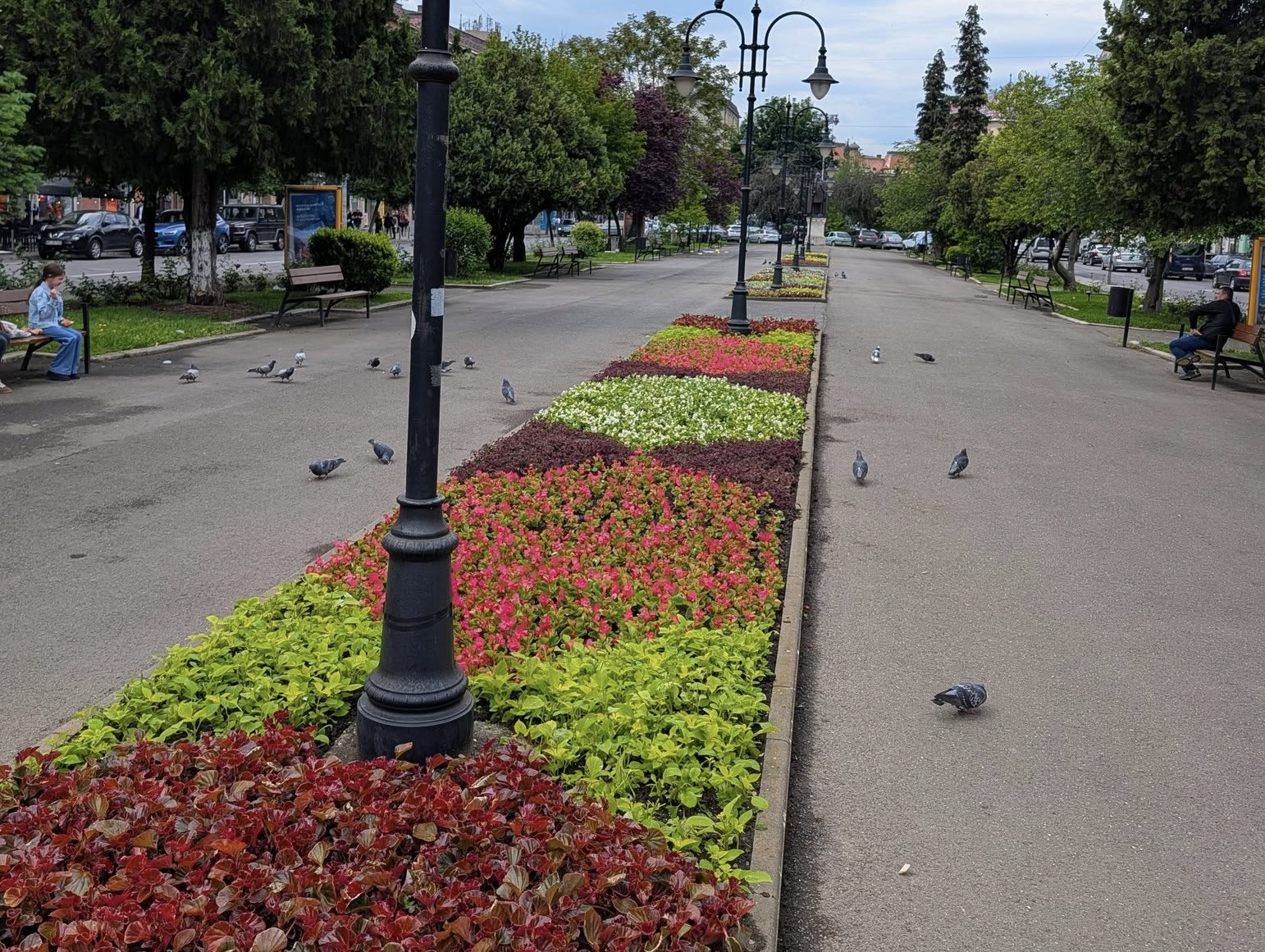 MozaikvirMozaikvirágok: jégvirág, alternanthera maccha, irisina, coleus, sedum | Fotó: Tőkés Sándor
