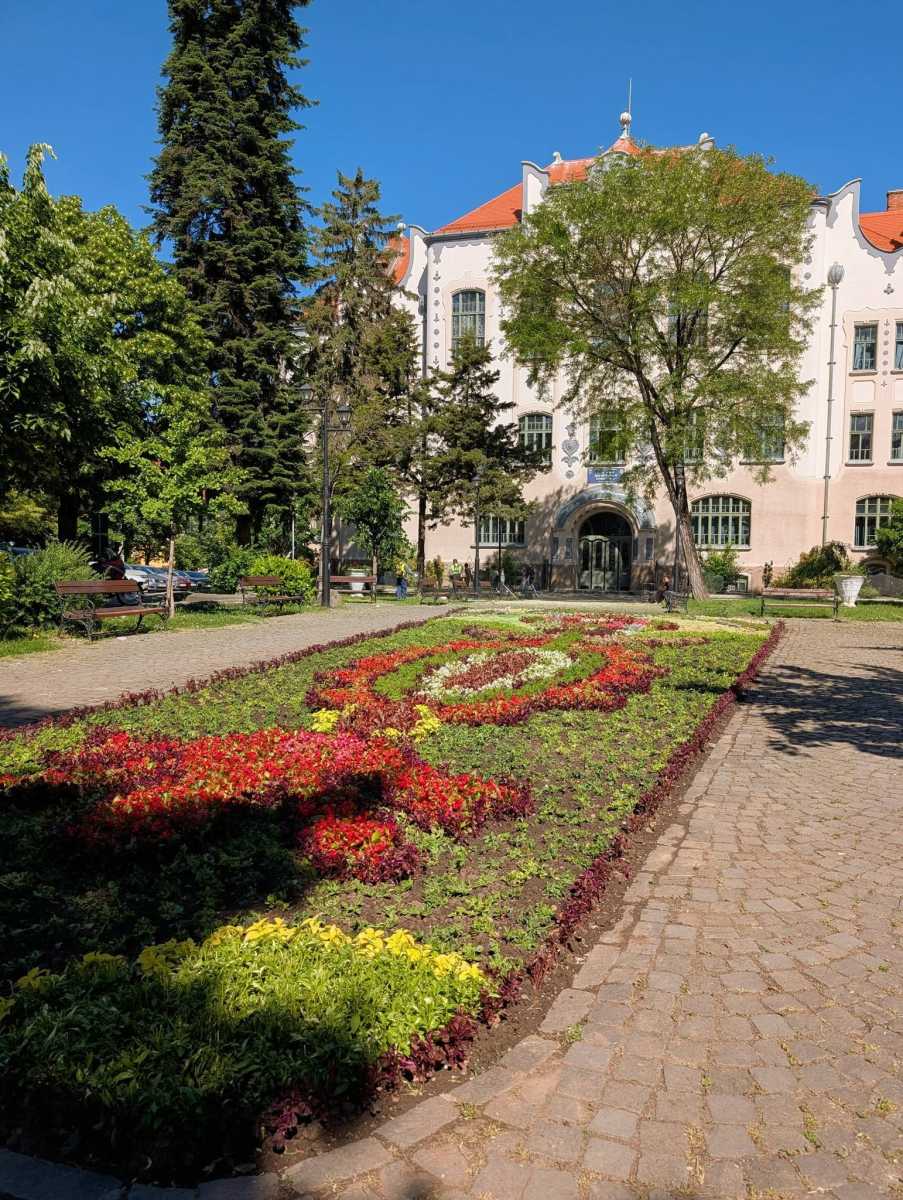 A Bolyai téri virágágyás | Fotó: Tőkés Sándor