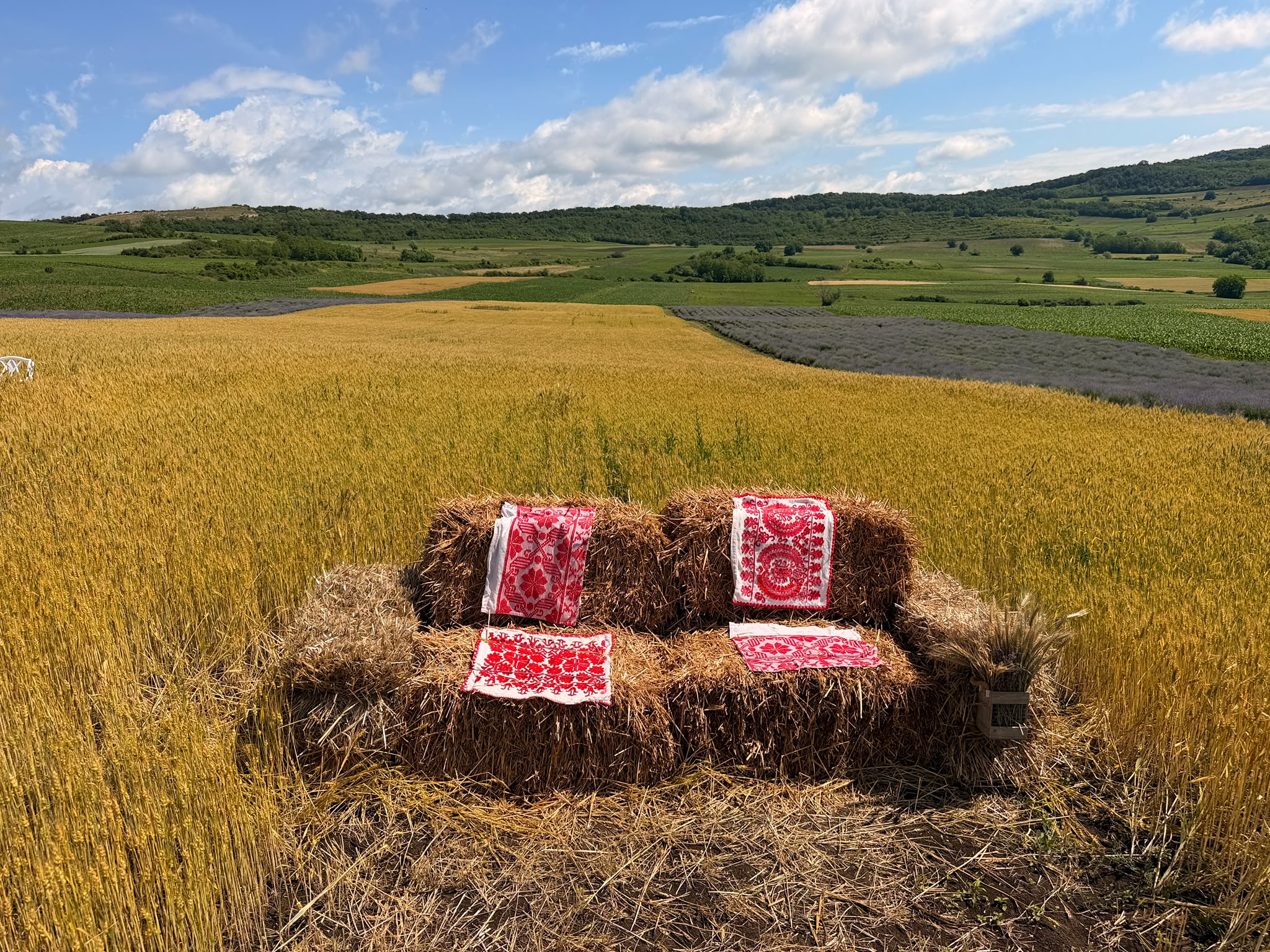 Piknikezésre alkalmas helyeket is kialakítottak | Fotó: A szervezők