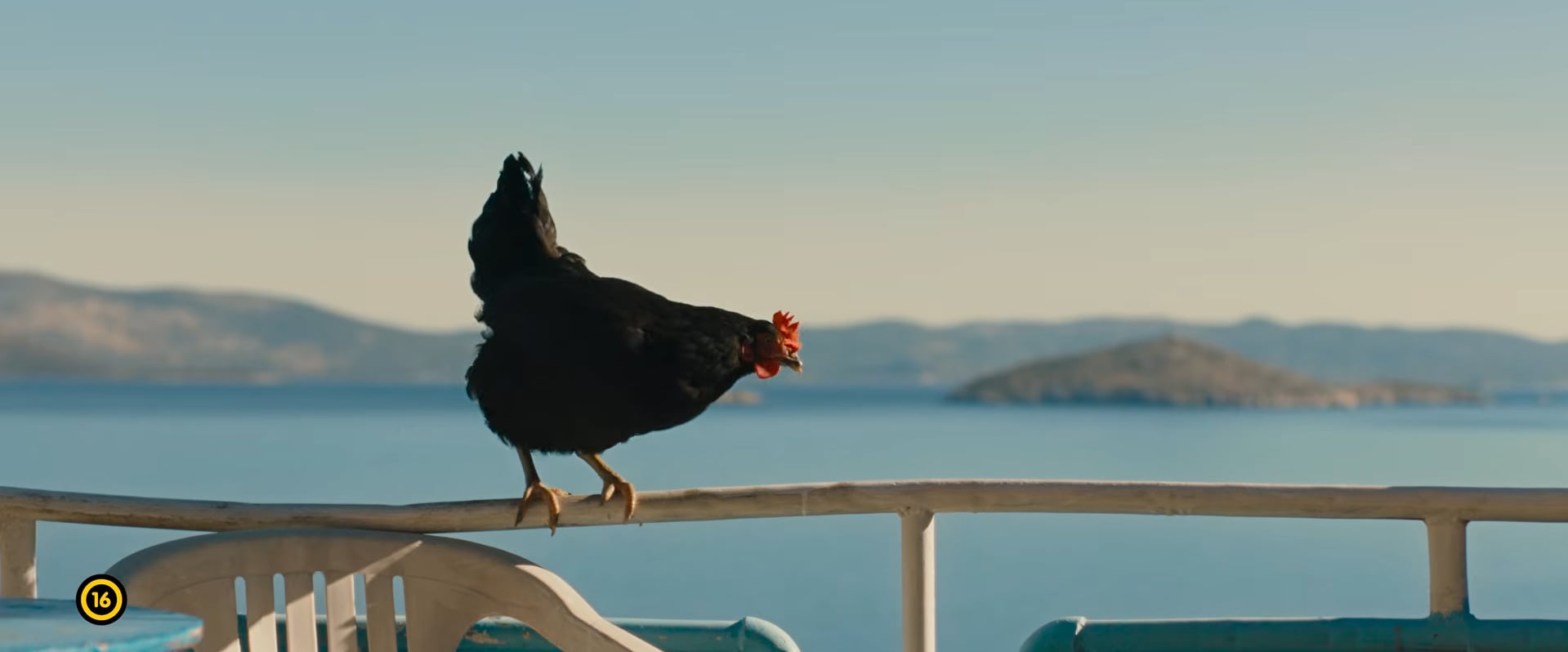 Pálfi Györgyöt legújabb filmje kapcsán kérdeztük. | Képernyőmentés/Mozinet-magyar feliratos előzetes