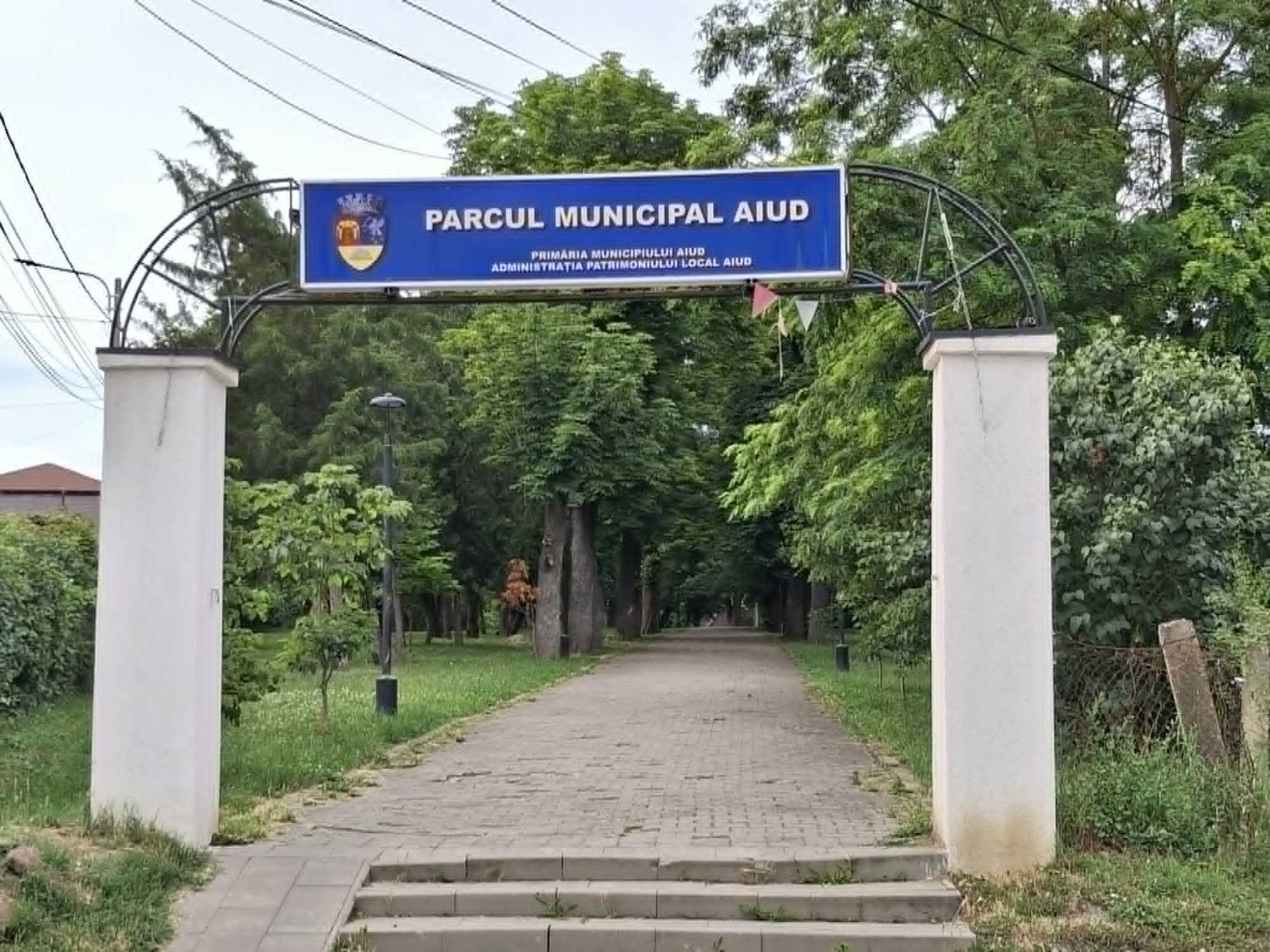 Látványos megújulás lesz a városi parkban is. | A szerző felvétele