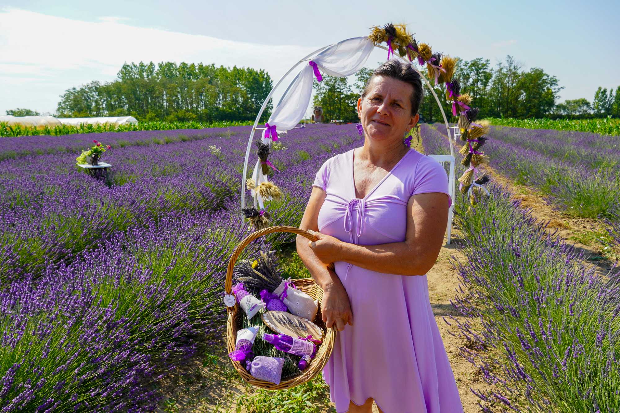 Cseke Ibolya álma volt a levendulafarm létrehozása | Fotó: Borsi Balázs