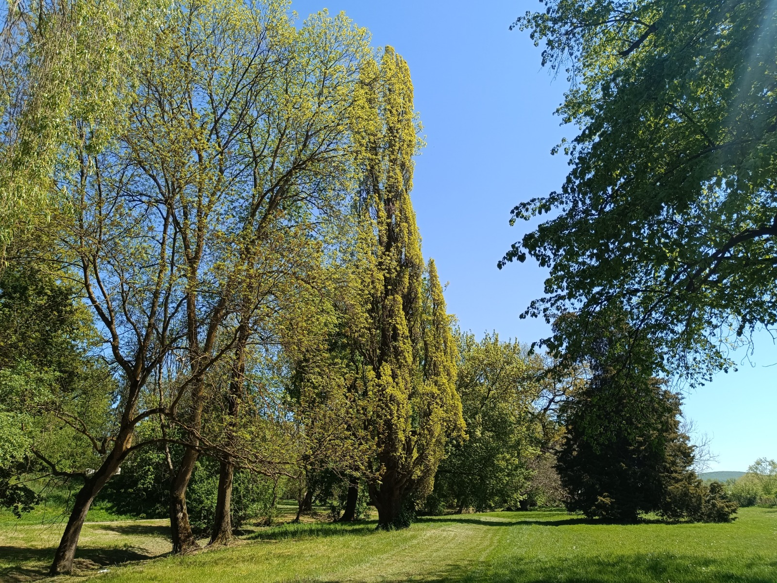 A kastély parkjának egy része  | Fotó: Rákóczi Kinga