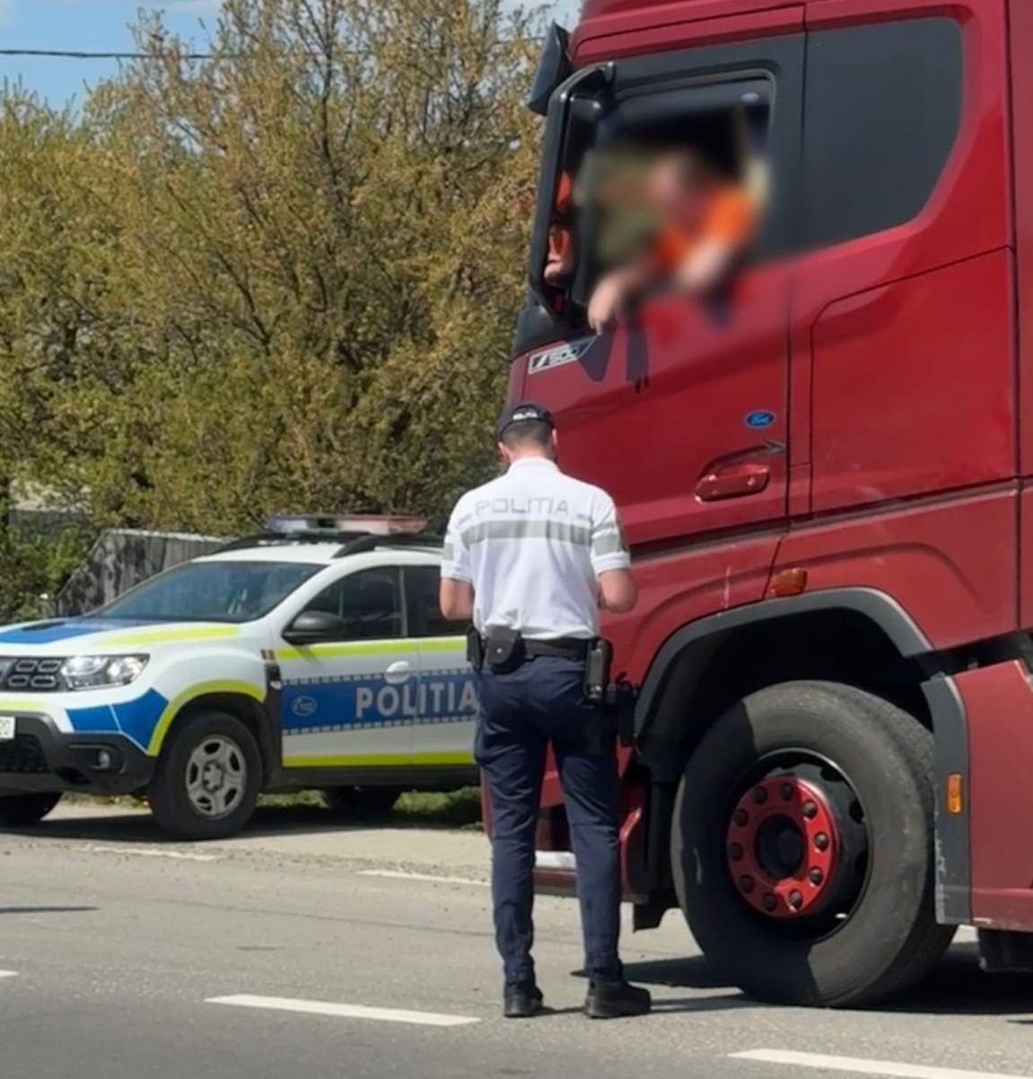 Gyanús eredetű fát is lefoglaltak | Fotó: Hargita Megyei Rendőr-főkapitányság