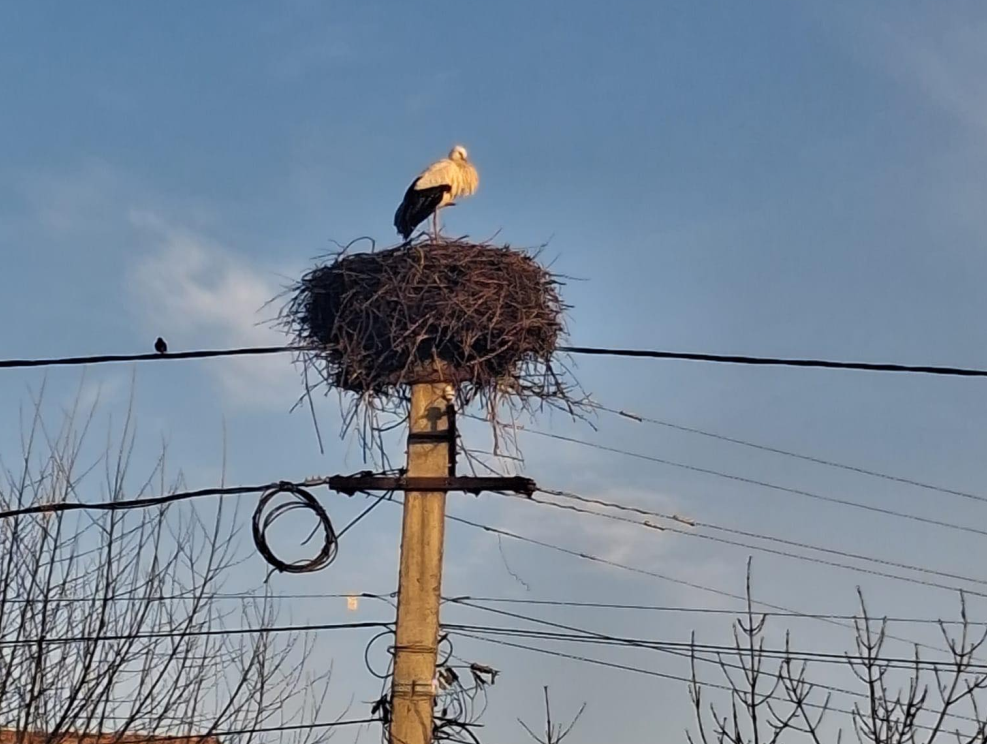 Isten hozta! | Fotó: A polgármester Facebook oldala
