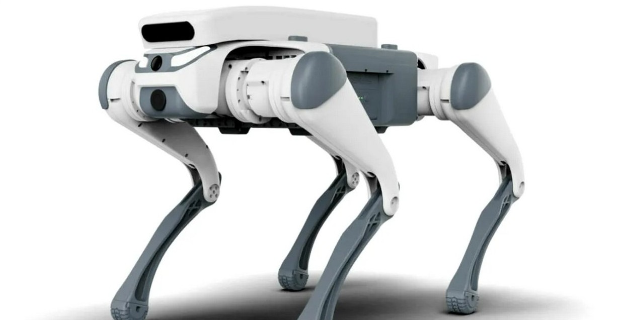 Munkára fogják a robotkutyákat | Fotó: digi24.ro