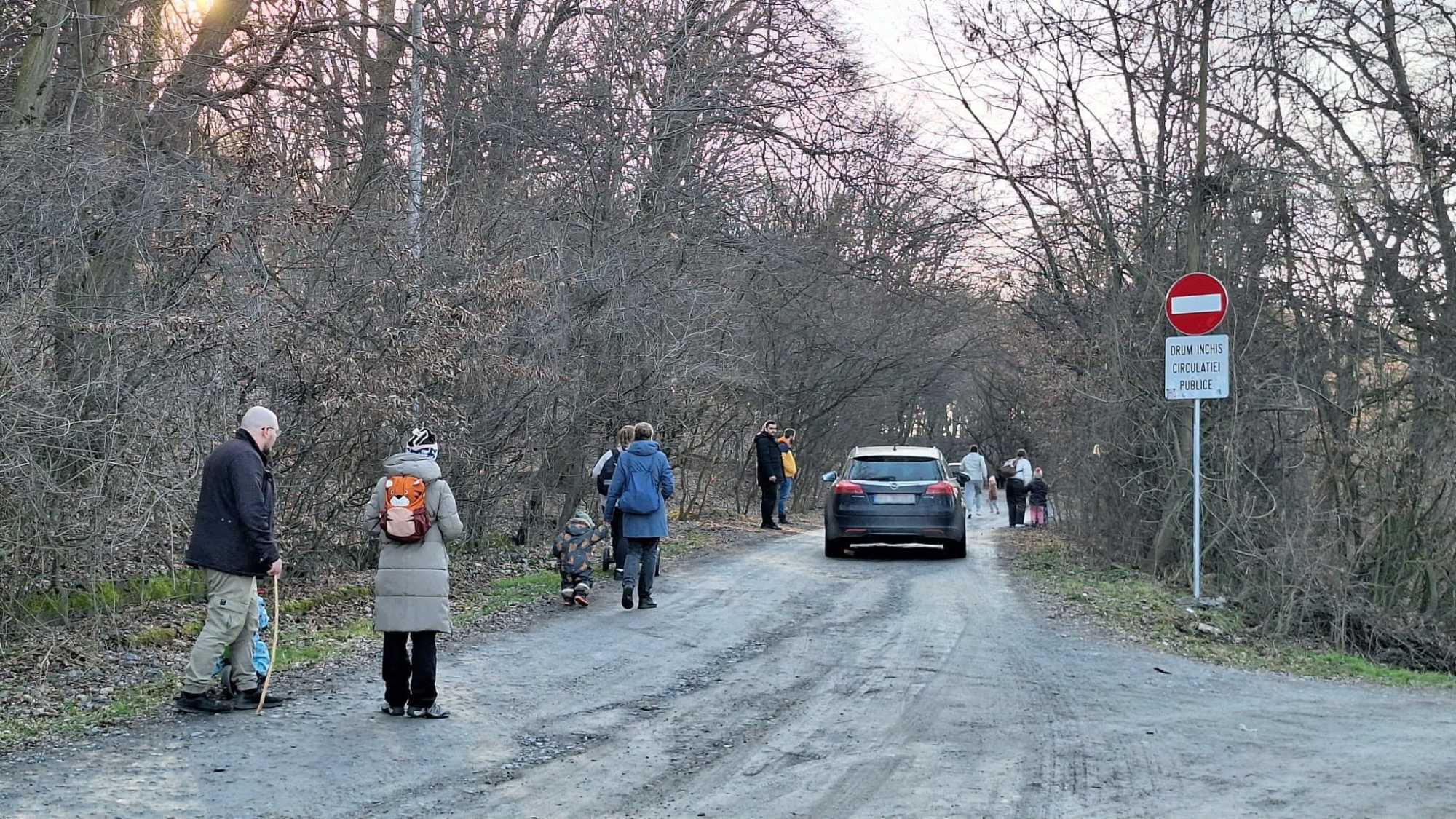 Az autós forgalom csökkentését is elvárják, hogy igazi zöld övezet legyen a Hója-erdő. 