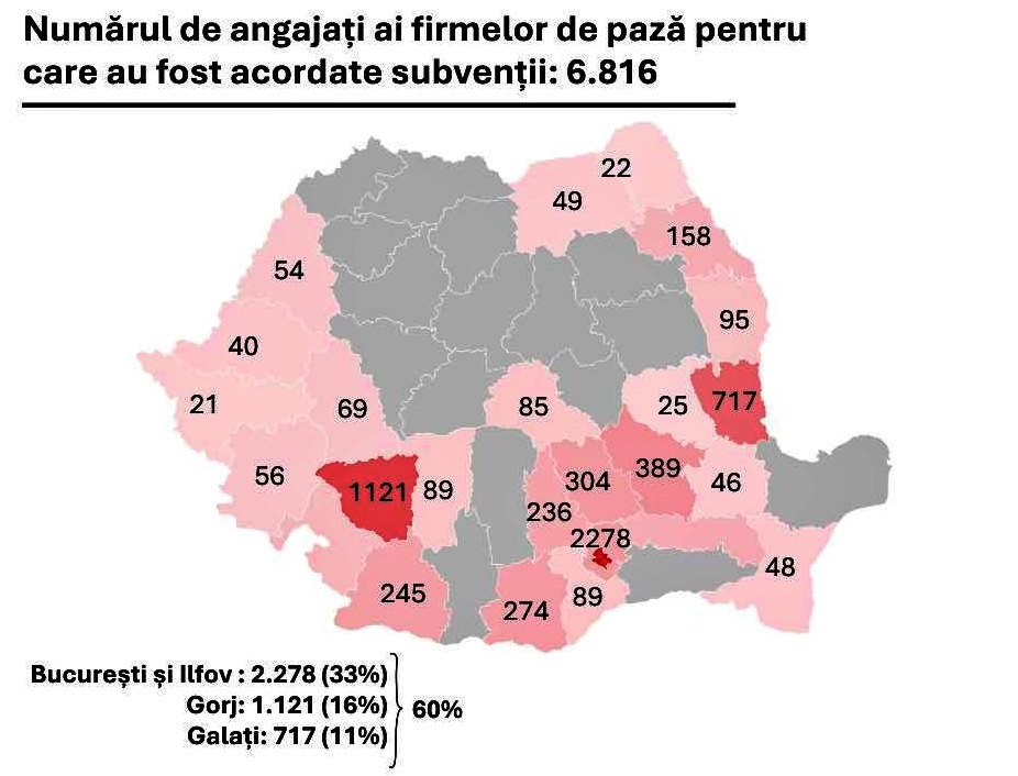 Őrző-védő cégek kapták a szubvenció jelentős részét | Fotó: Ilie Bolojan Facebook-oldala