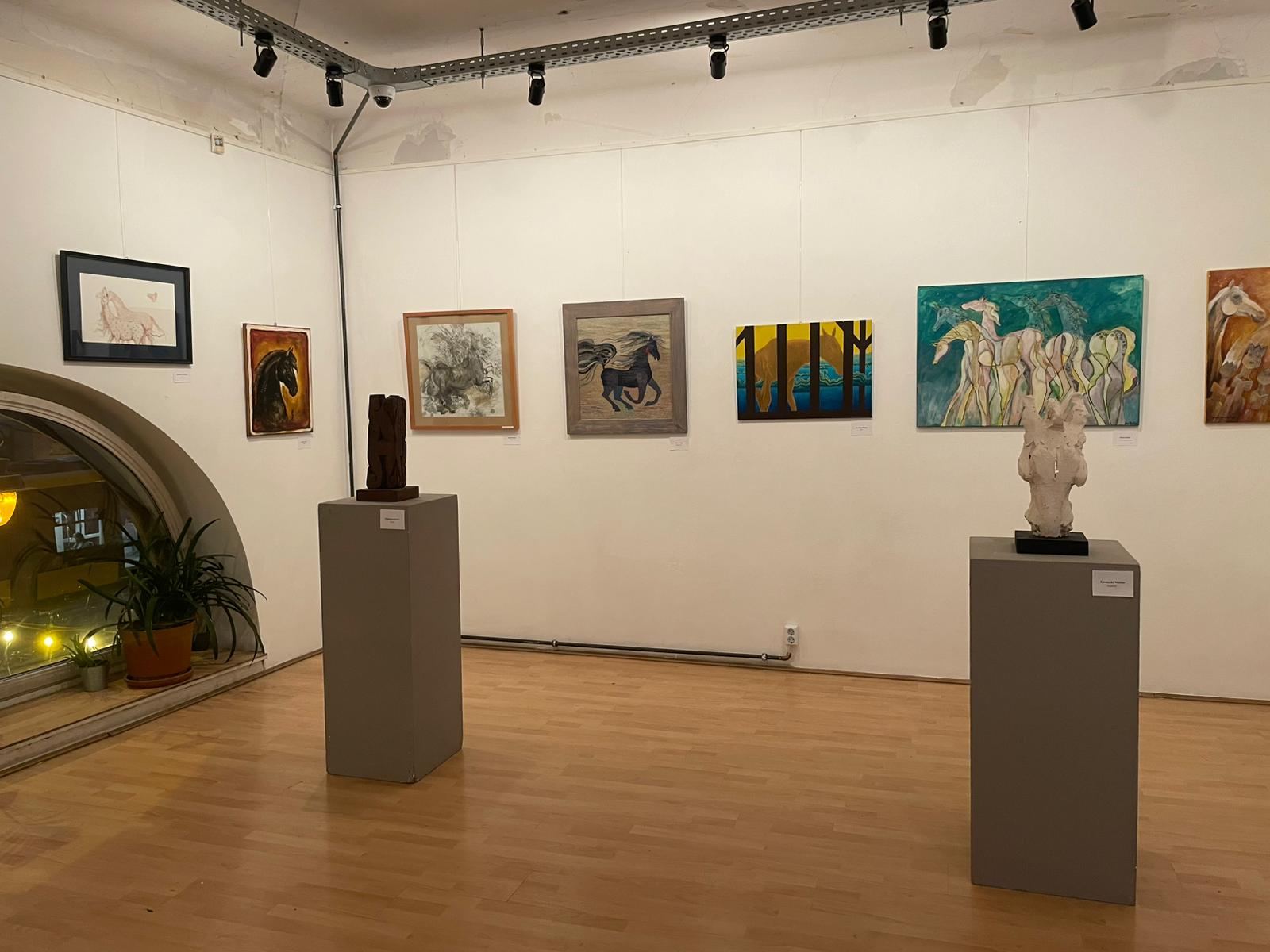 Budapesten is bemutatkozott a tárlat anyaga | Fotó: Márton Katalin