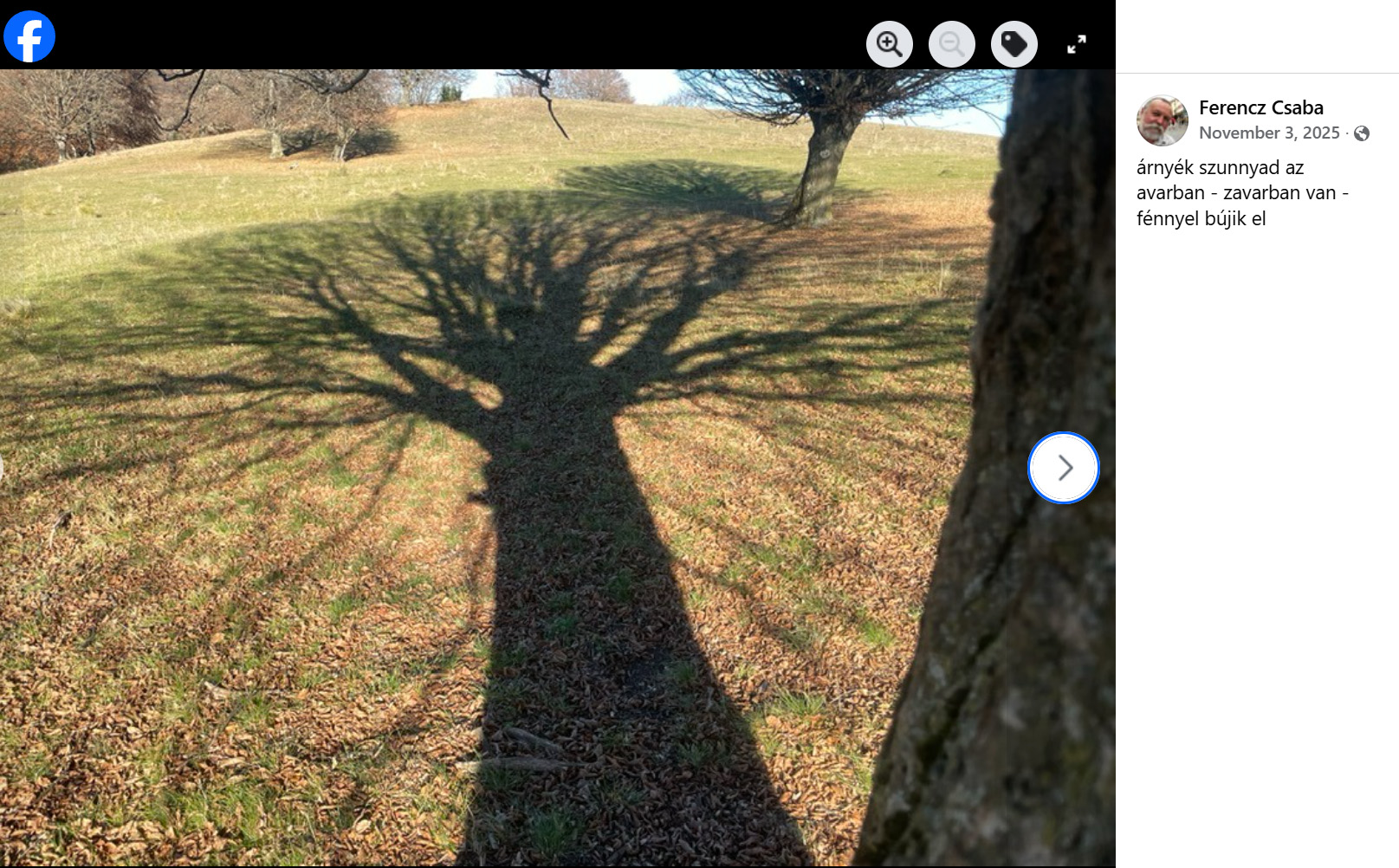 A haikuk a Facebookon jelentek meg, egy-egy fotót társaként | Fotó: Ferencz Csaba/facebook