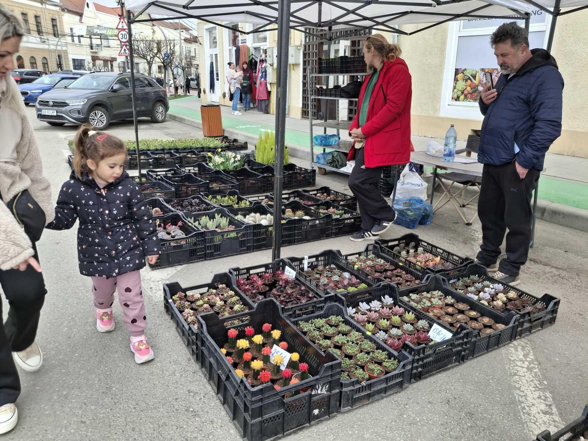 A virágok terén is változatos termékkínálat tapasztalható