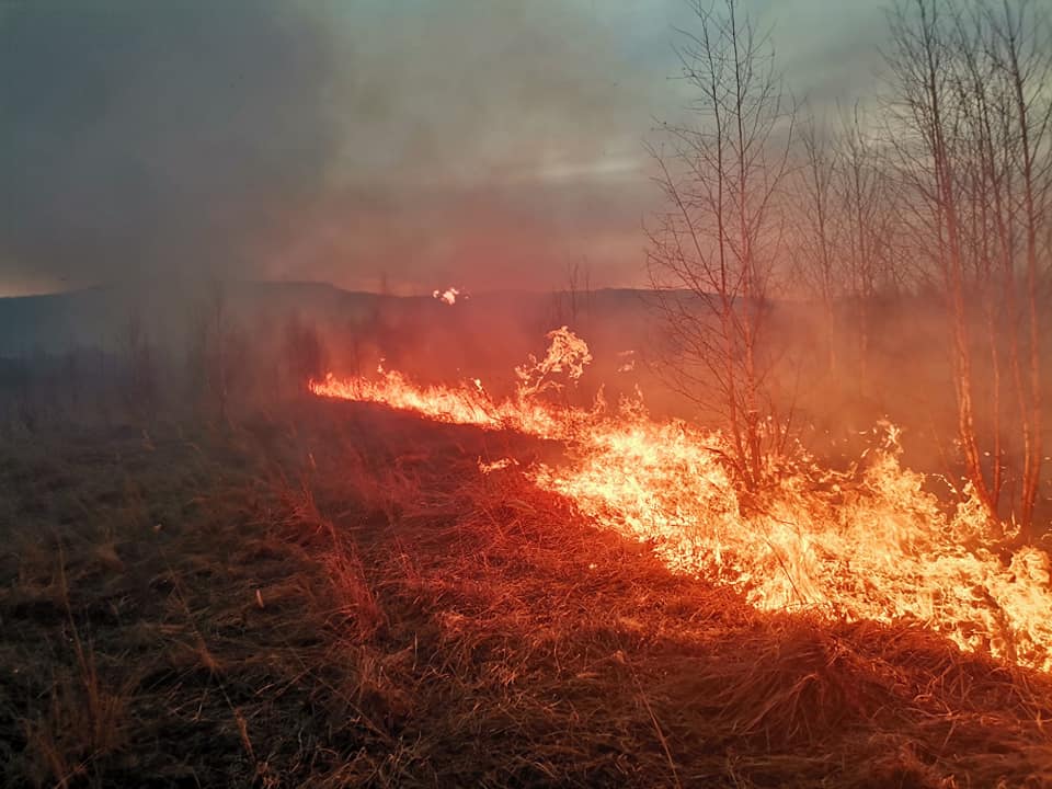 Idén jelentősen nőtt a vegetációtüzek száma Hargita megyében | Fotó: IGSU (archív)