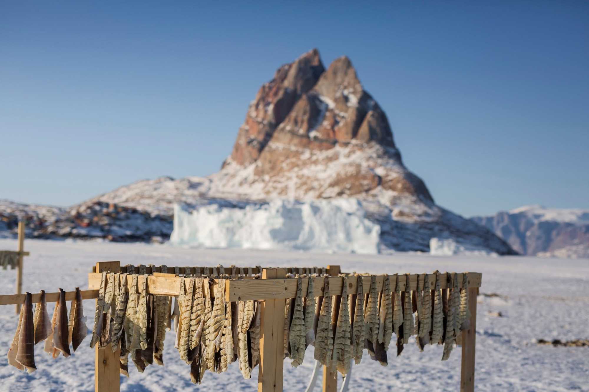 Szárad a halhús | Fotó: Facebook/Visit Greenland