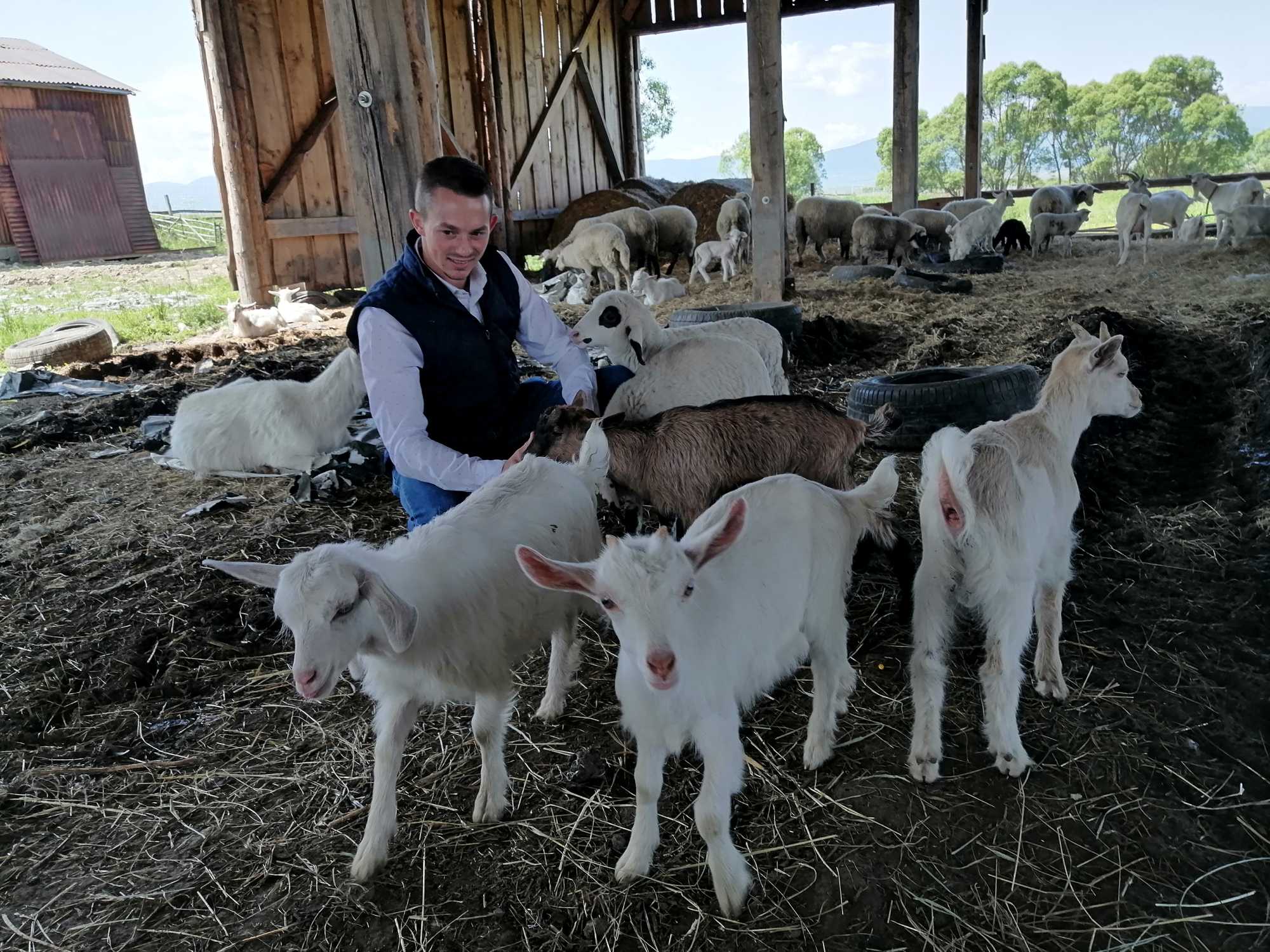 Bajkó Zoltán |a Székely Gazdaszervezetek Egyesületének (SZGE) falugazdásza | Fotó: Létai Tibor