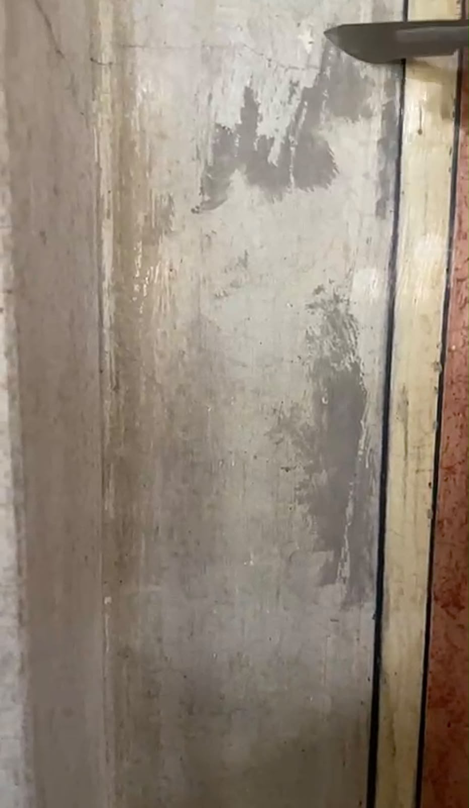 Fotó: Molnár Sára Zenta saját archívuma
