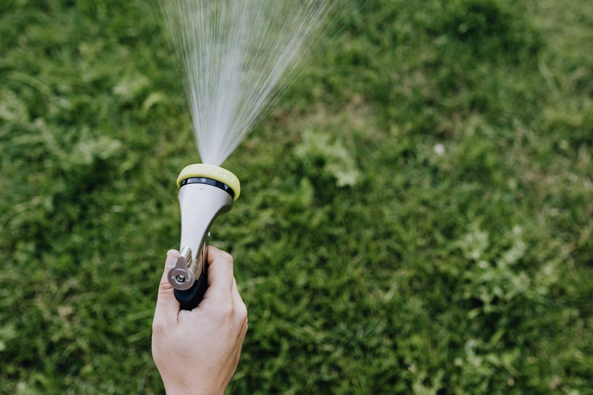 Ivóvízzel öntözik egyesek a gyepet, a kertet és a medencét is azzal töltik fel | Fotó: Pexels