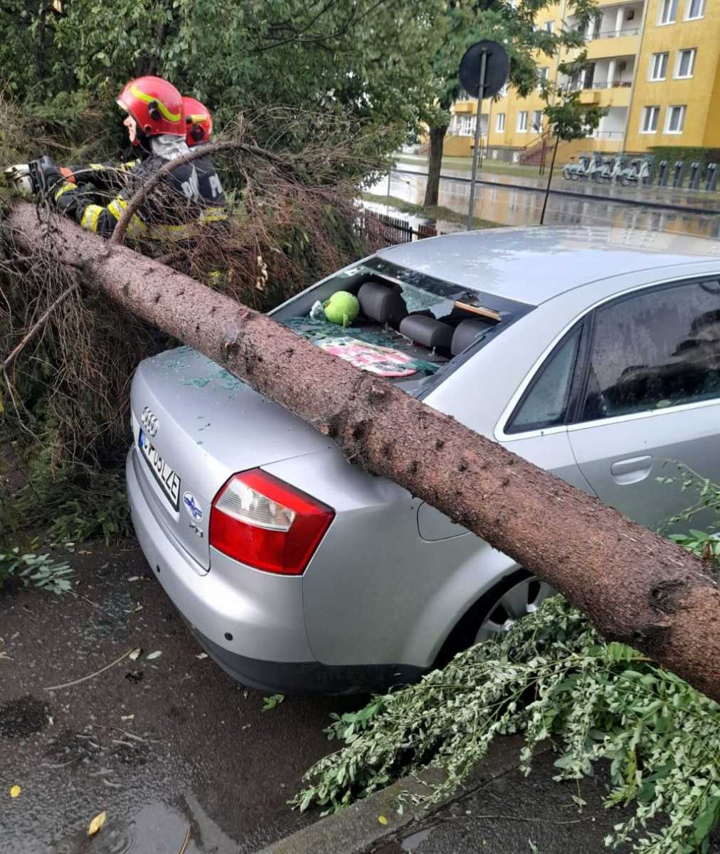 Viharkár. | Fotó: katasztrófavédelem