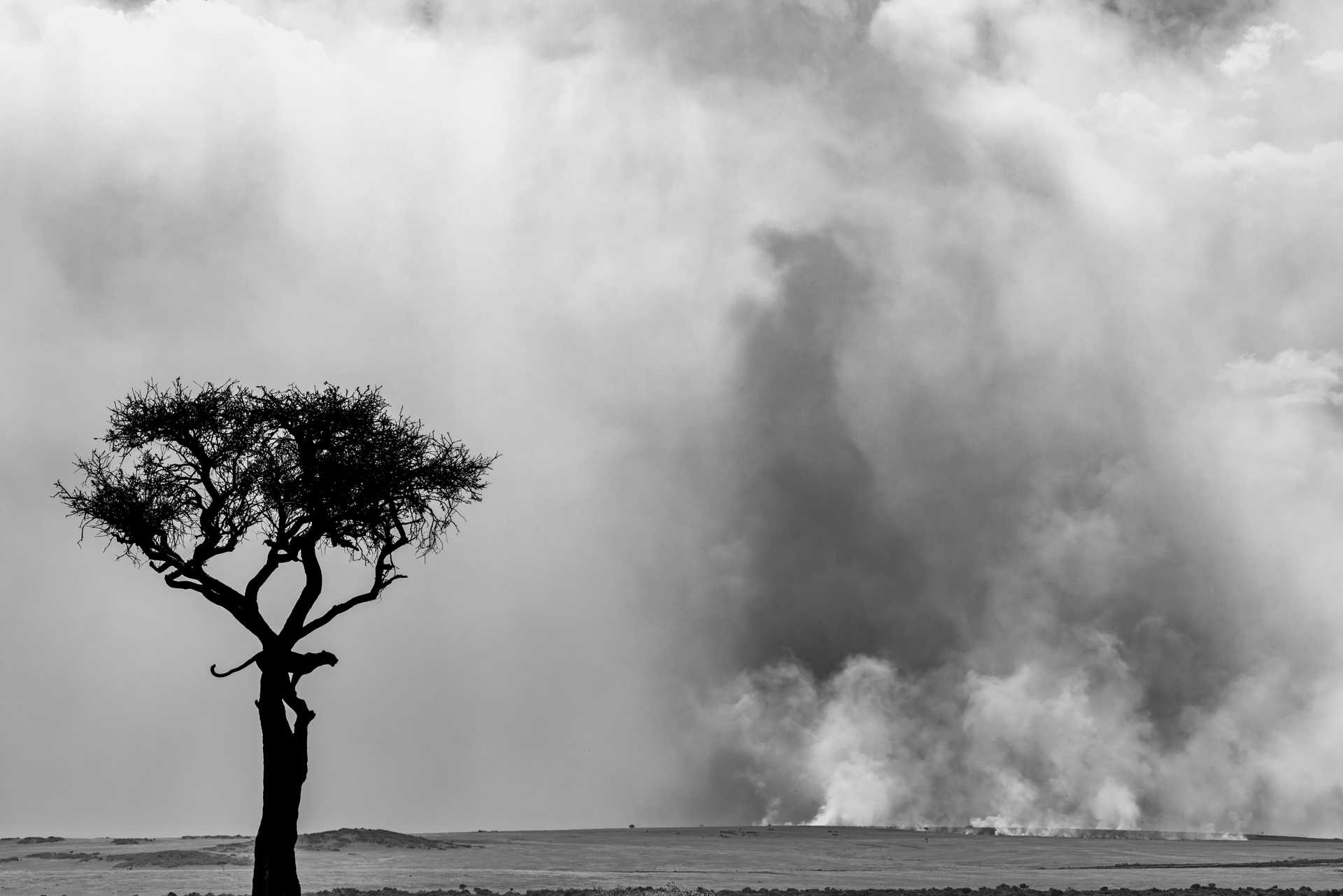 Above the burning world - Srikanth Santhinathan /India | Fotó: Milvus csoport