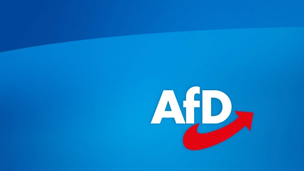 Az AfD javaslatainak egy része az alkotmányba vagy európai szabályozásokba ütközne | Fotó: AfD/Facebook