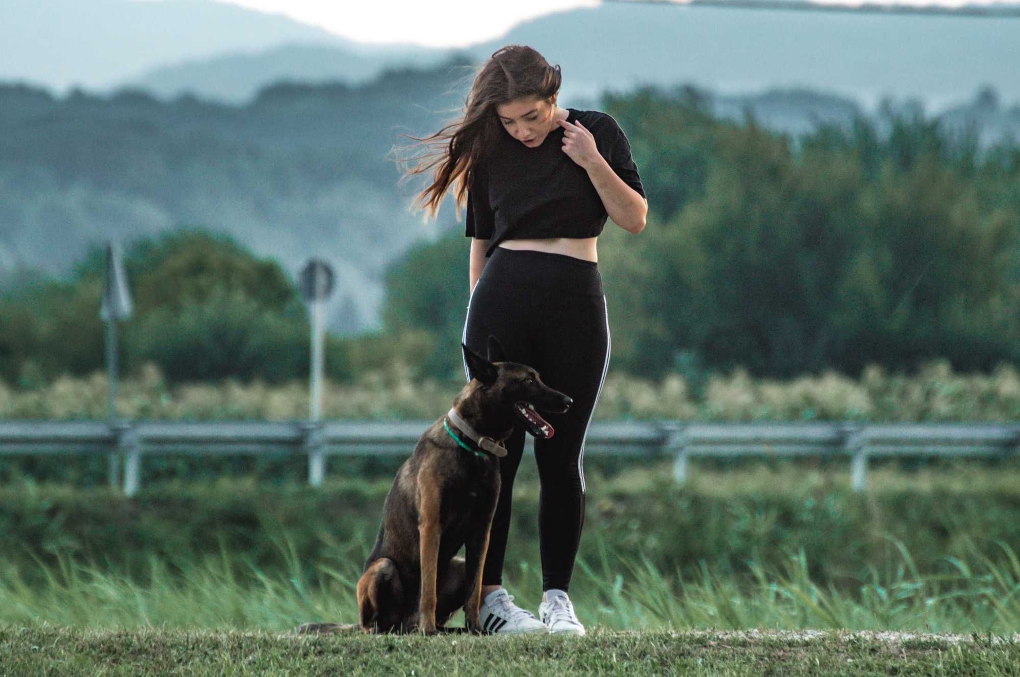 Az alapokat tudnia kell minden kutyának. | Fotó: Pexels