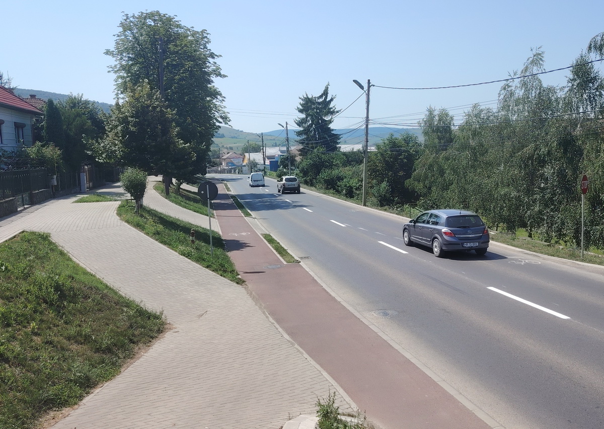 Zöldsávok a város legzöldebb útvonalán. Esztétikus, de haszontalan | Fotó: Szász Csaba