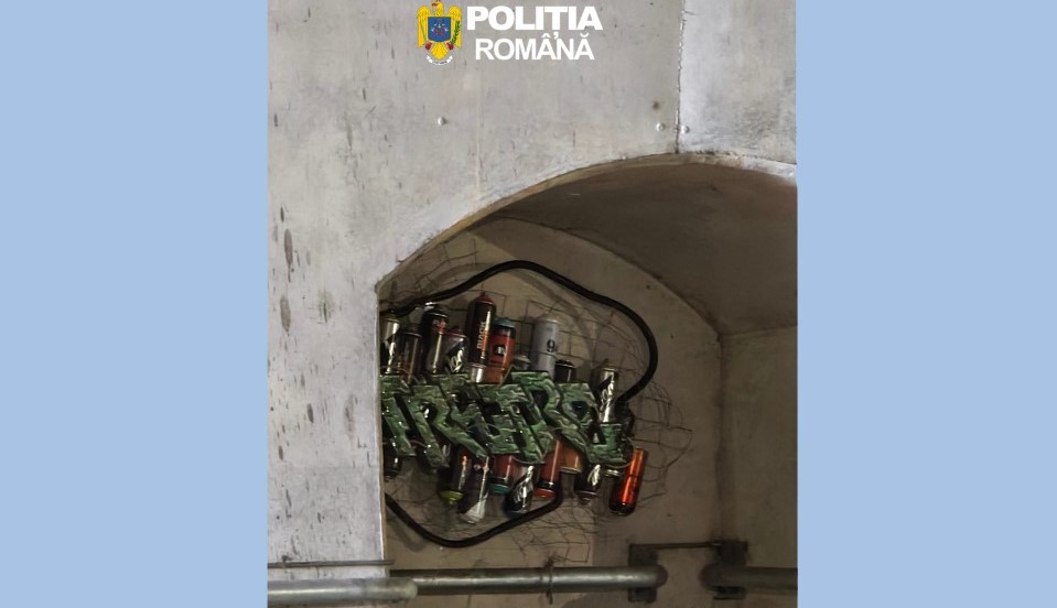 Félelmetesnek néz ki | Fotó: Román Rendőrség