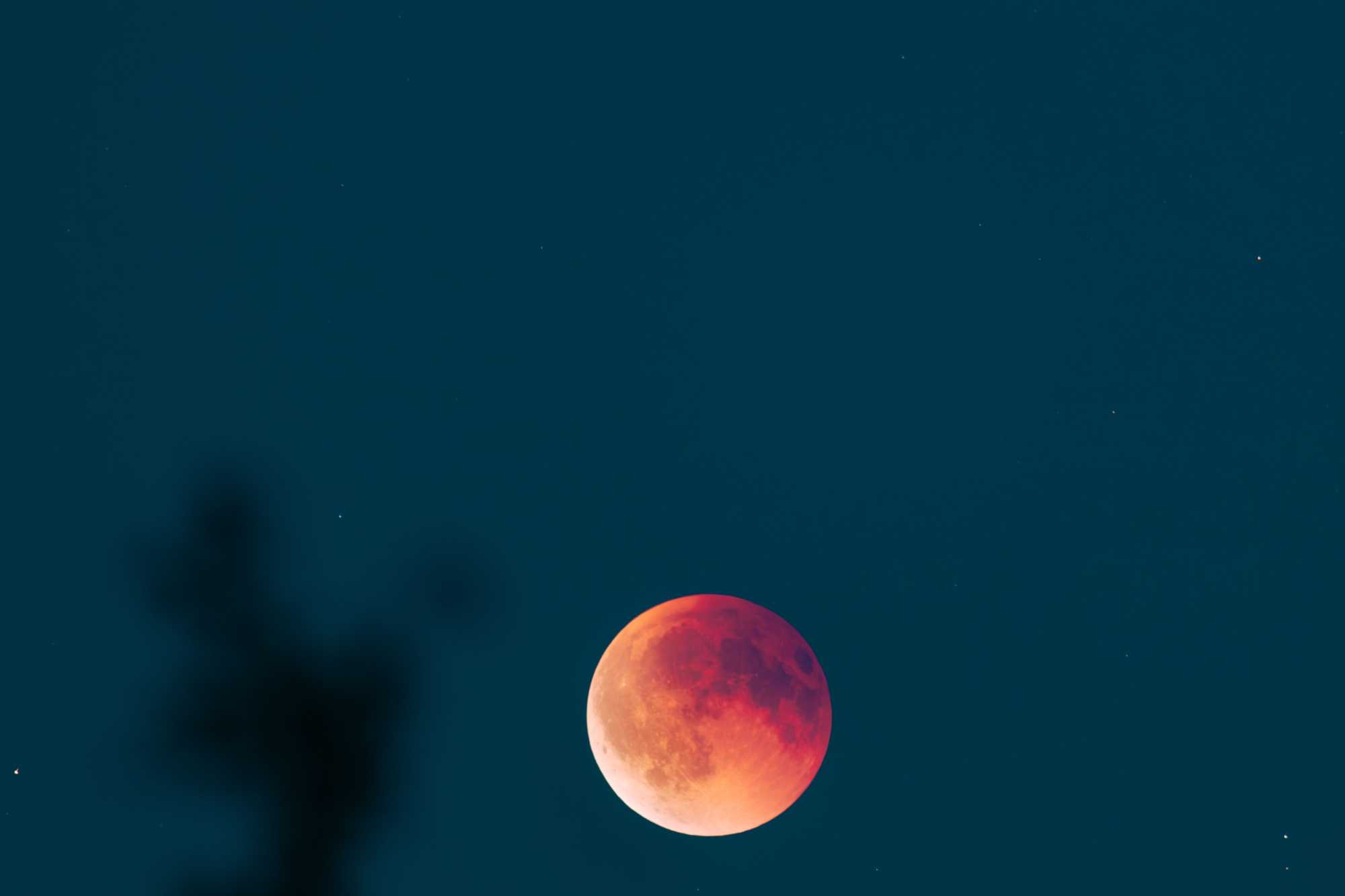 Korán kell kelni, hogy elcsípjük, amit lehet a látványosságból. | Fotó: Pexels
