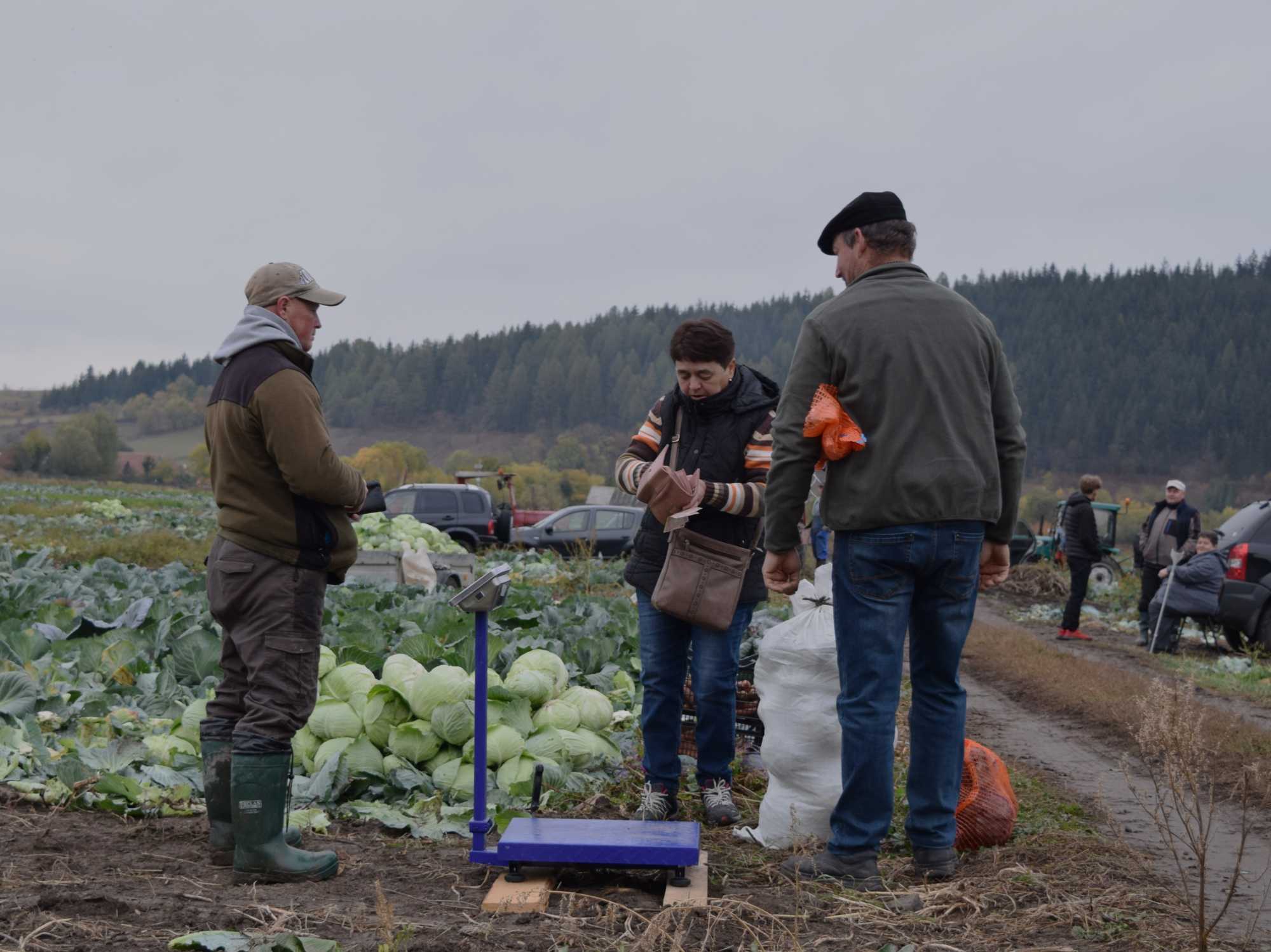 Megk&ouml;ttetett az &uuml;zlet - a k&aacute;poszta javar&eacute;sz&eacute;t helyben &eacute;rt&eacute;kes&iacute;tik.