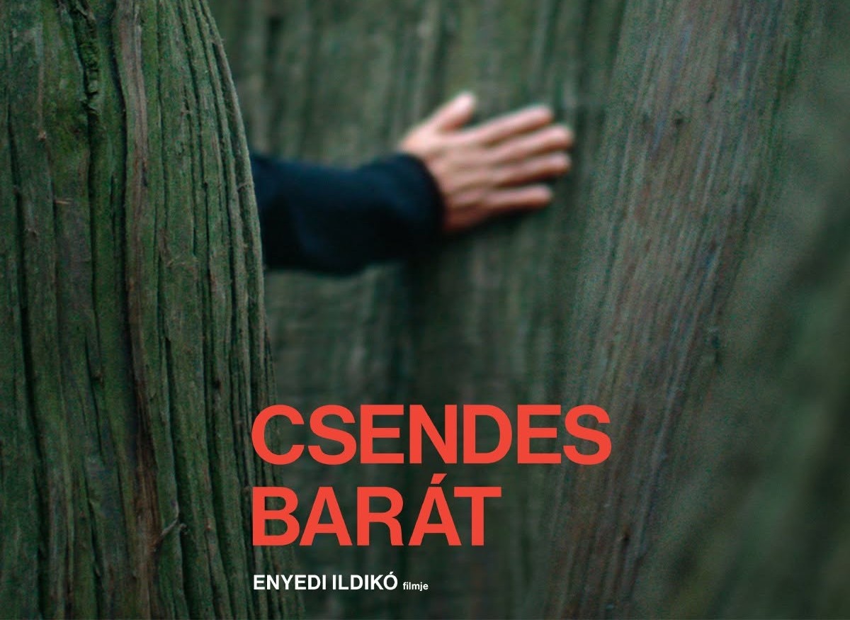 A Csendes barát plakátja | Fotó: Facebook/Csendes barát