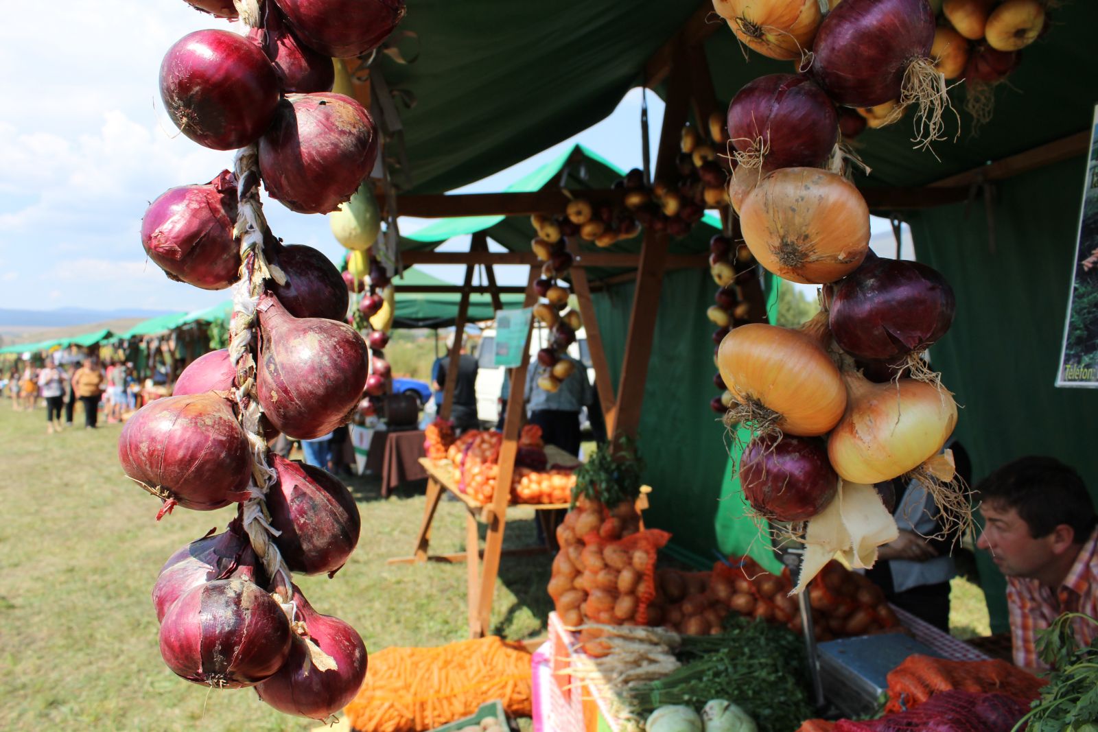 Egy becsületes falusi fesztiválon helyi termékeket is lehet vásárolni, de egy becsületes hagymafesztiválon elmaradhatatlan portéka maga a hagyma.

