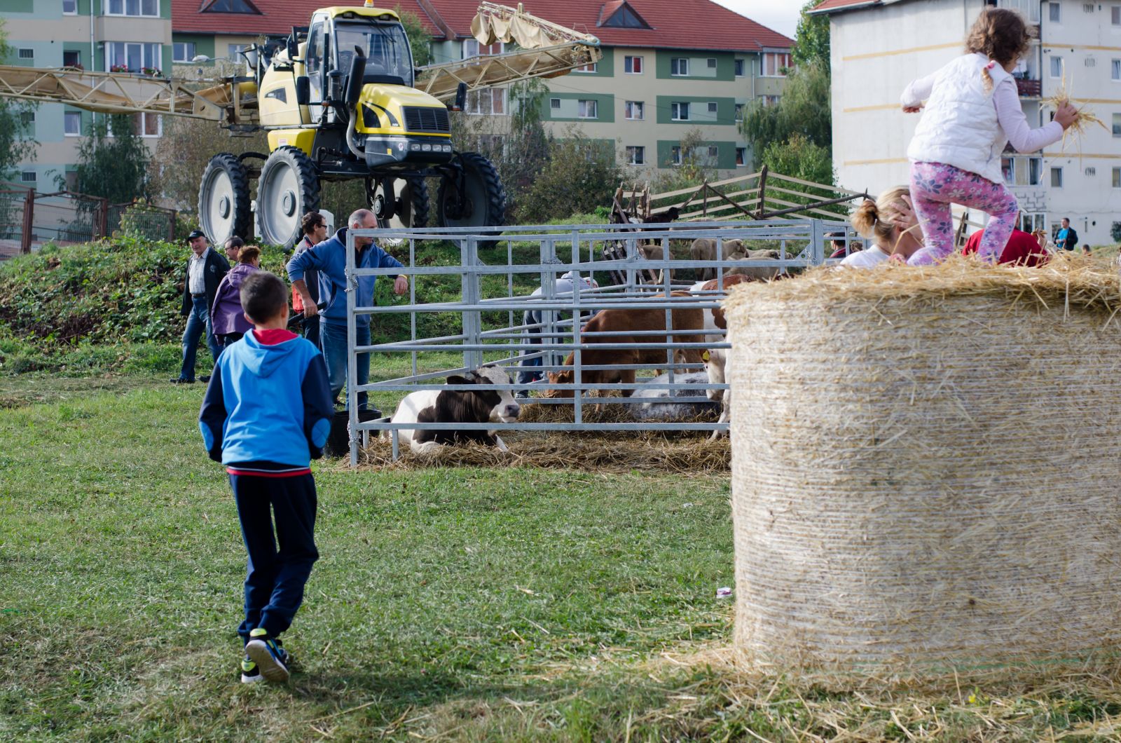 A szalmabálák- és tekercsek külön játszóteret képeznek a dombocskákon fékező munkagépek közt.