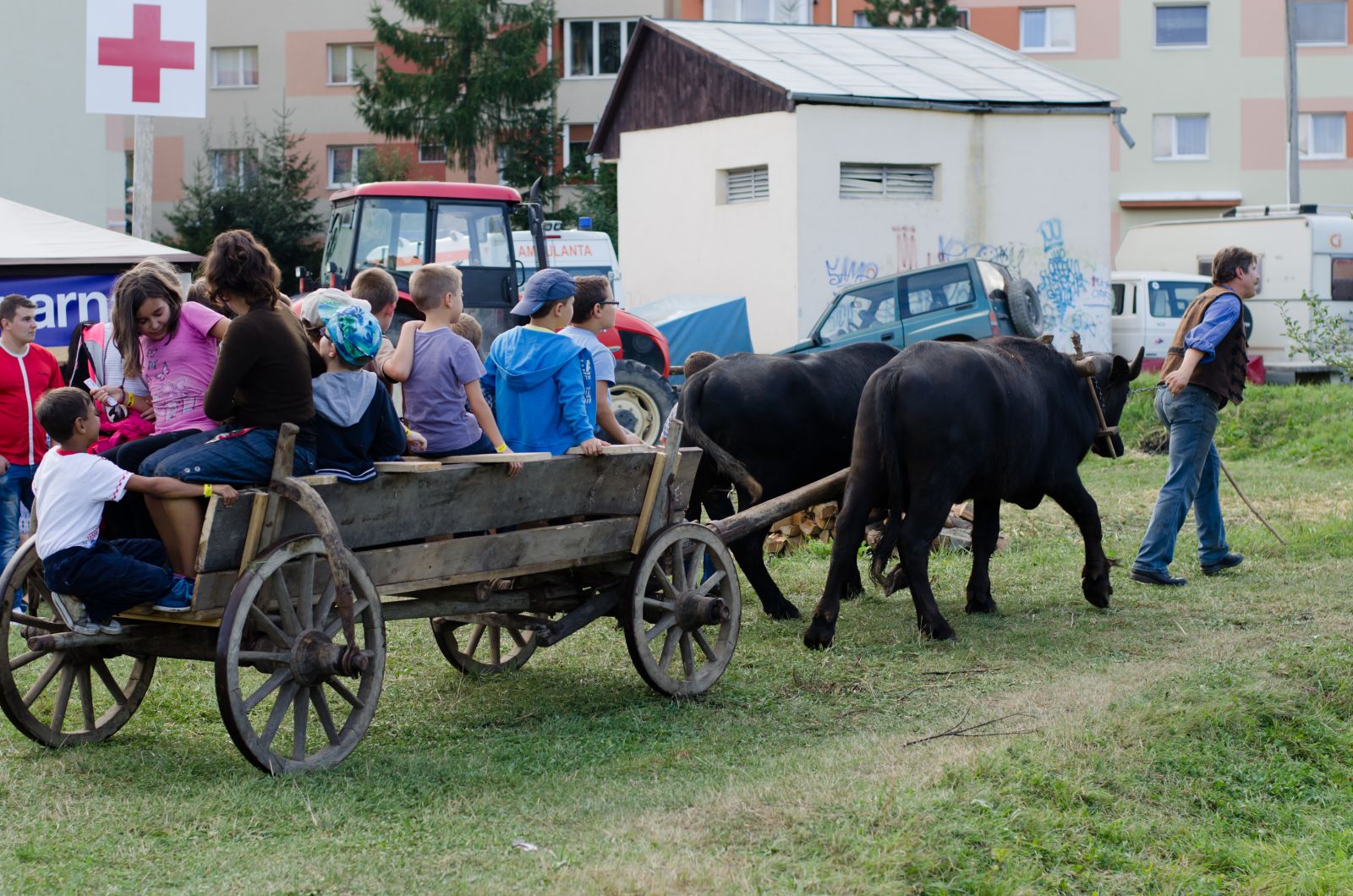 A bivalyos szekér a dendrológiai park dimbes-dombos helyszínén is körbevitte a kis utasokat: itt egy faluvilág, igazi látvánnyal, tarka élettel.
