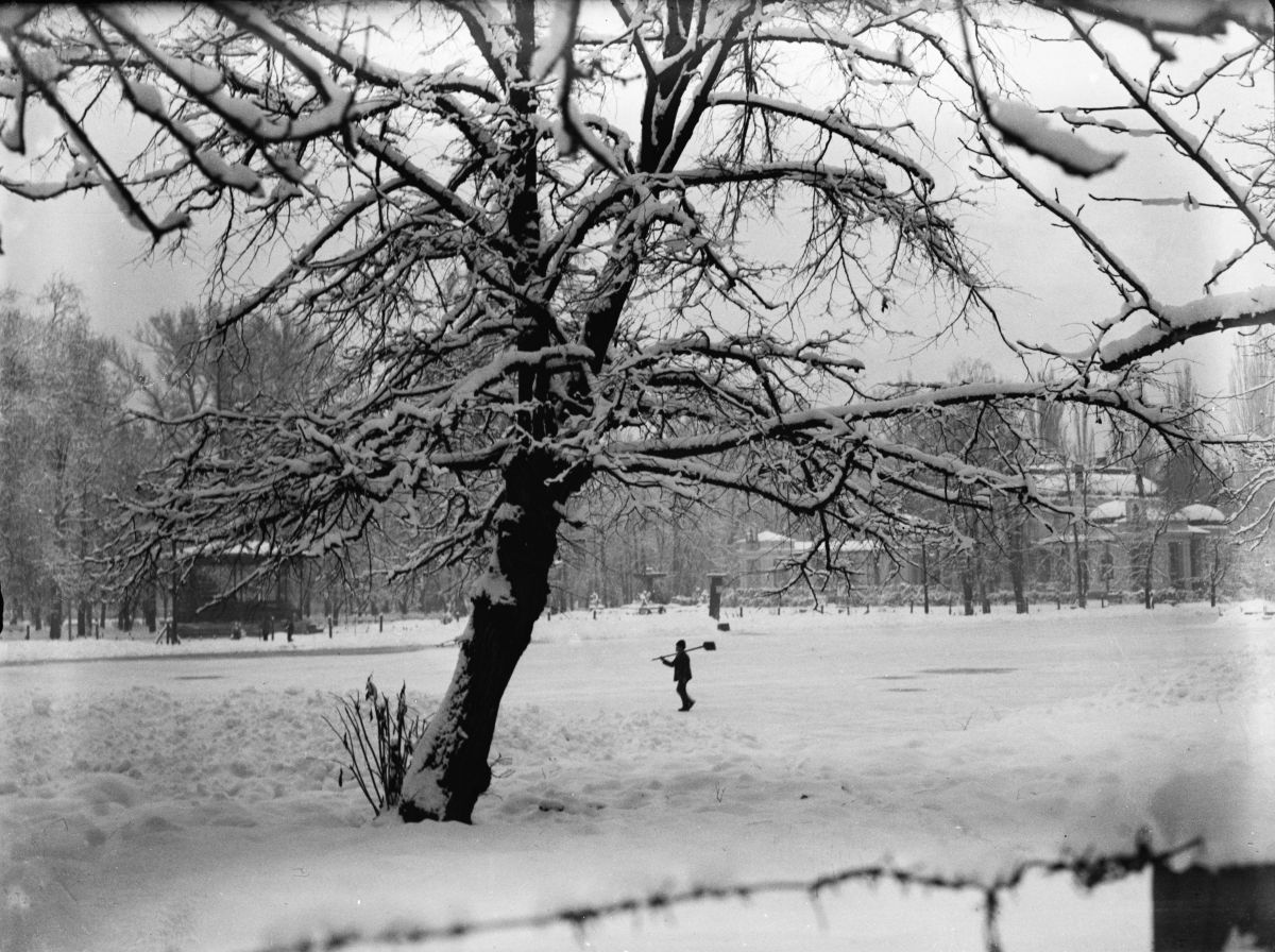 Forrás: Erdélyi Audiovizuális Archívum/Orbán család. Sétatér, háttérben a Kaszinó, 1930 körül.„Télen a növényzet rendkívüli fényképezési lehetőségeket nyújt: a fák törzse, koronája mindig más és más. Ha pedig hó vagy zúzmara borítja a tájat, a fák ezernyi különböző alakot öltenek.” (Melikant Tibor, Pajtás 1970)