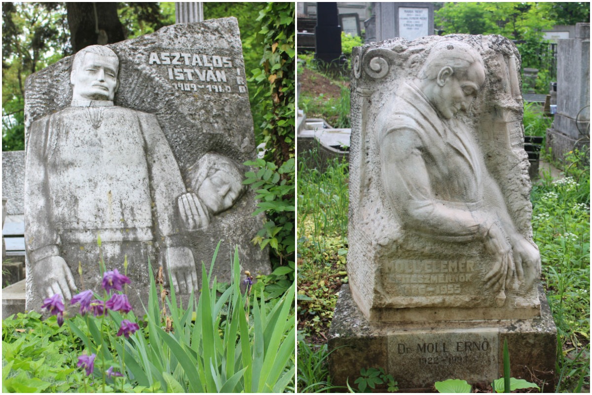 Szervátiusz Jenő az egyike azoknak a jelentős huszadik századi képzőművészeknek, akiknek a munkáit megtalálhatjuk a síremlékek között. Ő faragta Asztalos István író és Moll Elemér építész sírkövét is.

