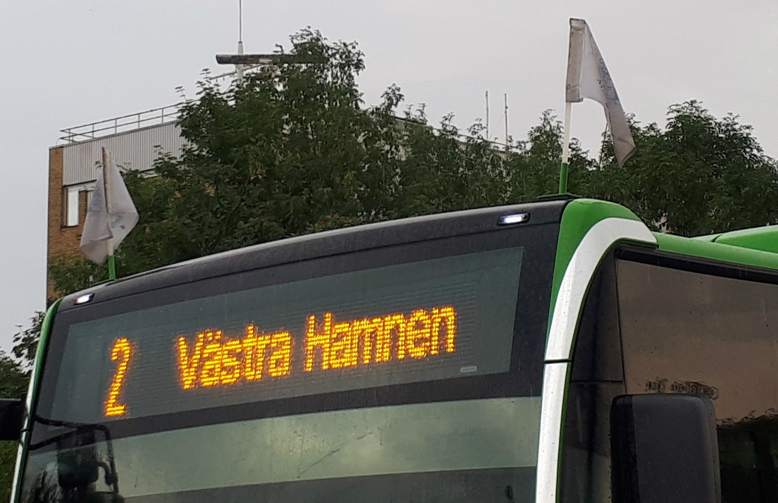 A városban a klub zászlóival fellobogózott  autóbuszok jártak egész nap. Csak elvétve láttunk viszont egy-egy svéd zászlót, ami az erdélyi „gyarmatosításhoz” szokott szemnek kellemes felüdülést jelentett. 
