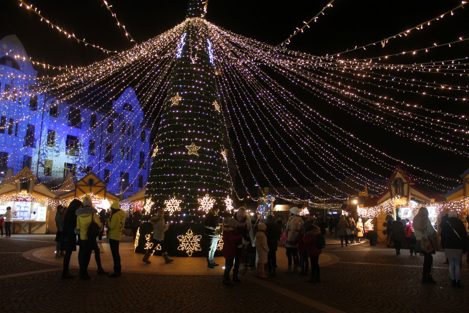 A nagyváradi Szent László (ma Unirii)-téren hatalmas műfenyő áll a karácsonyi vásár közepén. Fotók: Fried Noémi Lujza