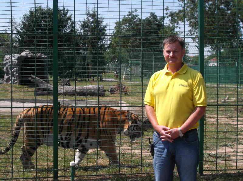 Bimbó-Szuhai Tibor állatkertigazgató, a háttérben Árész, a szibériai tigris