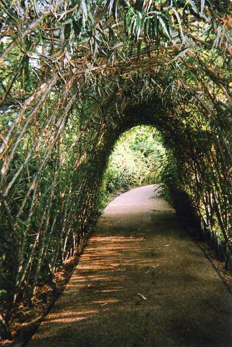 Nature’s Tunnel or Light and the End, Stratford, by Ellen Rostant.