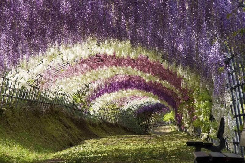 Virágalagút Japánban