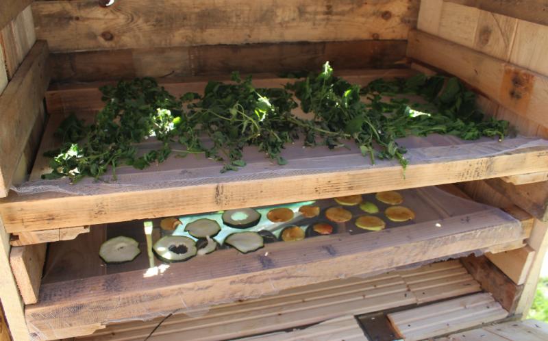 Zöldséget, fűszert lehet szárítani a napenergiával működő aszalóban